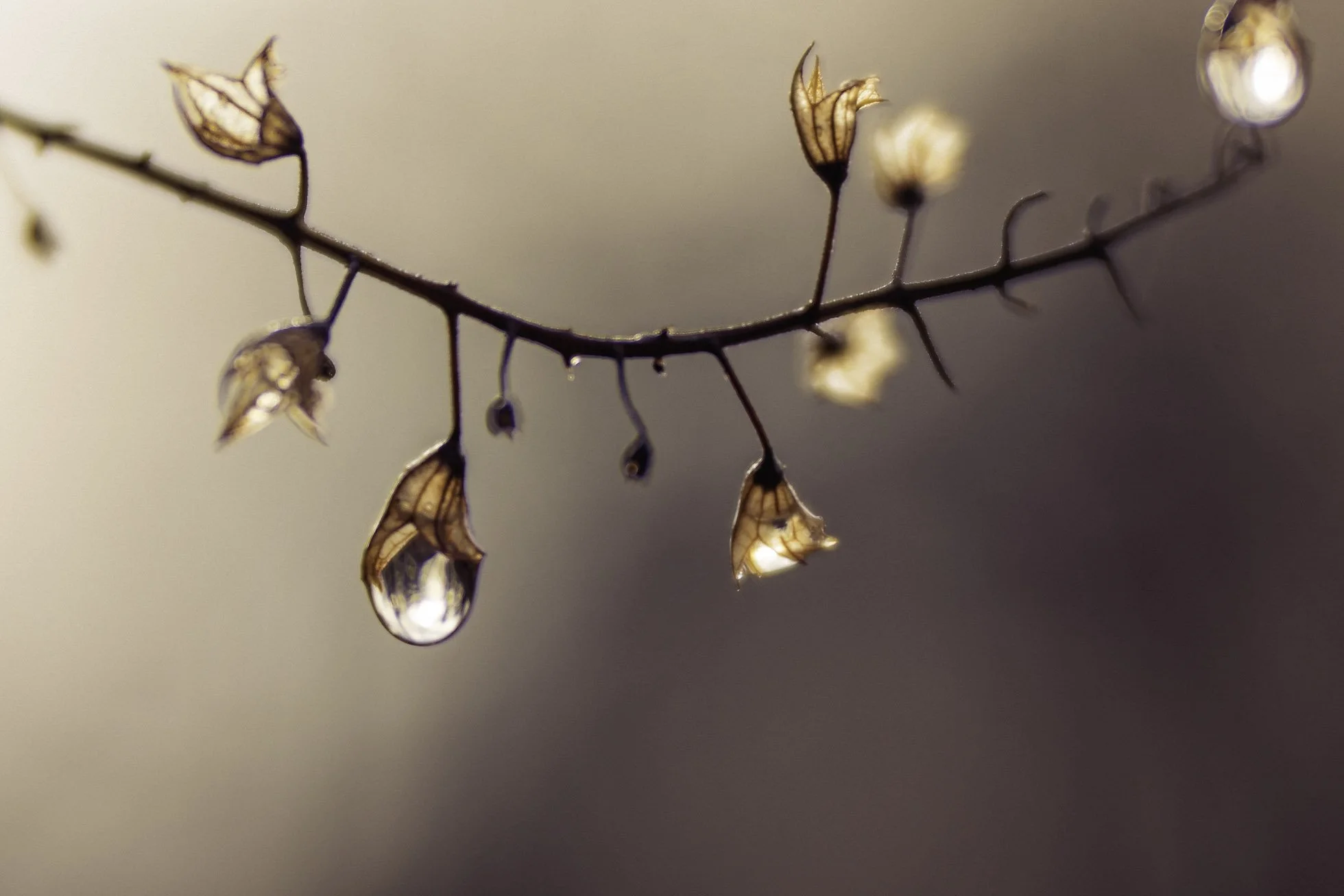 untitled shoot-028-Edit copy.jpg