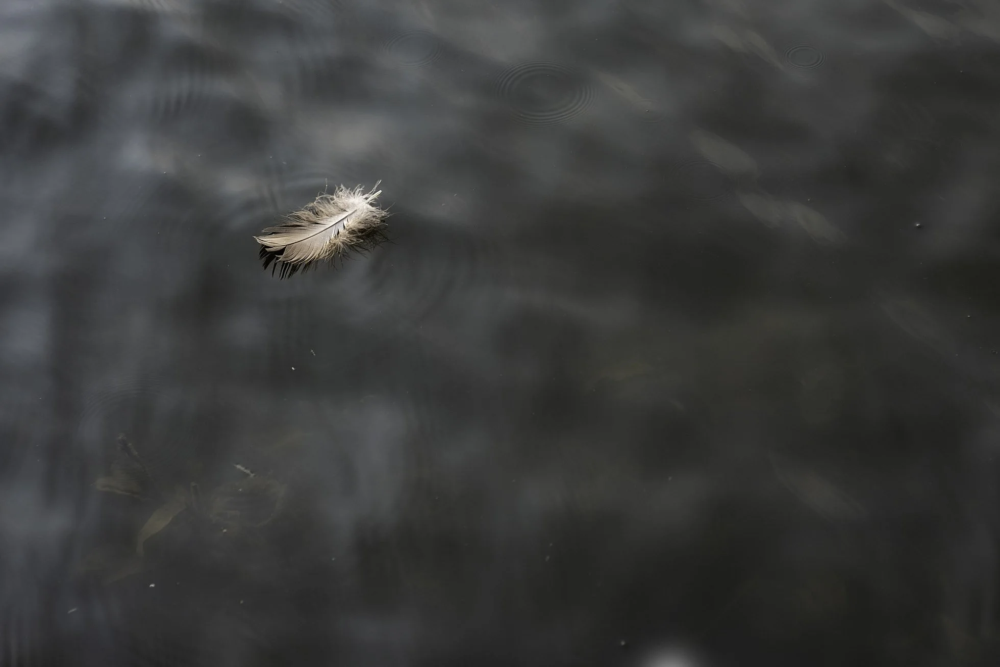 July 18th 2023-036-Edit copy.jpg