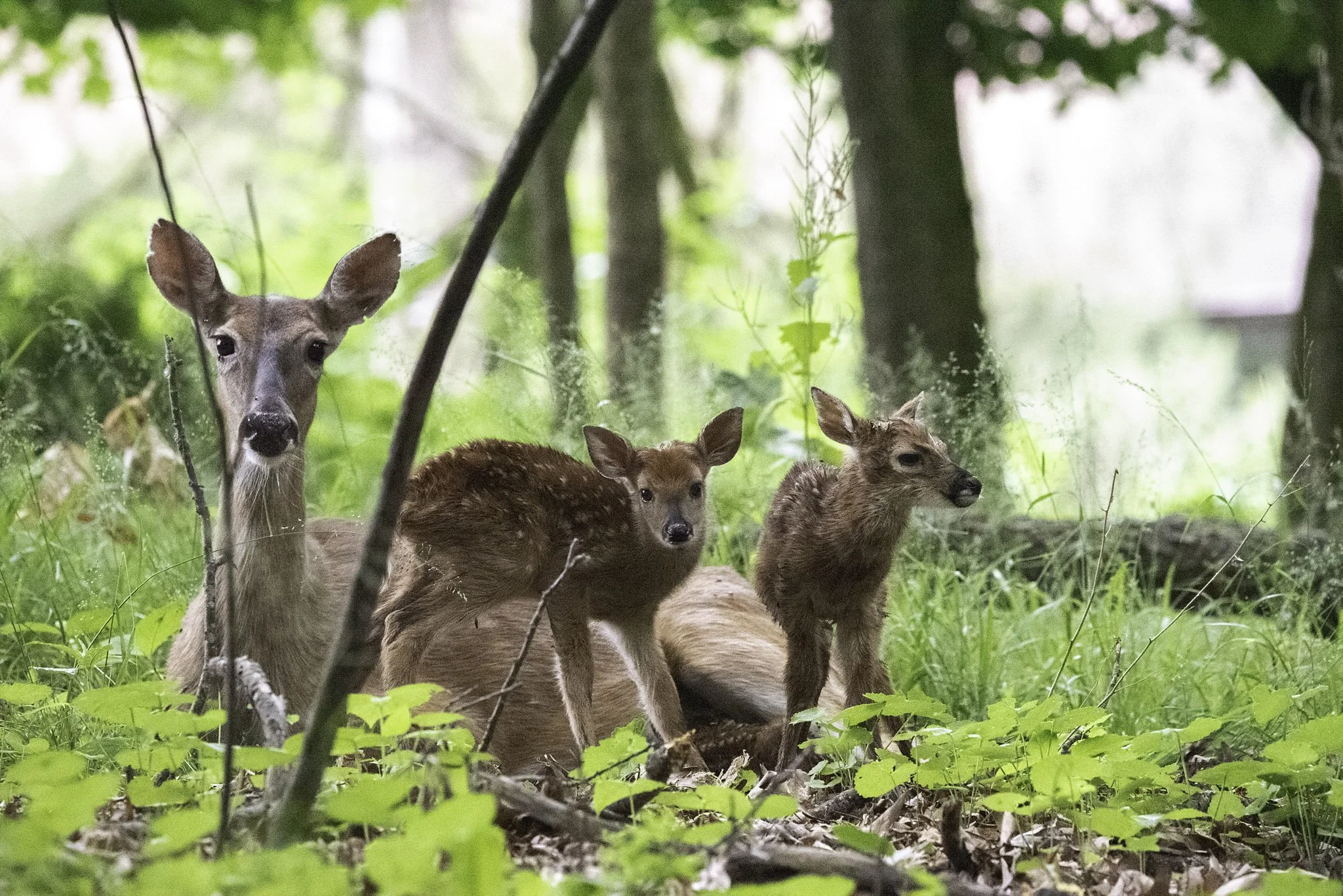 untitled shoot-209-2 copy.jpg