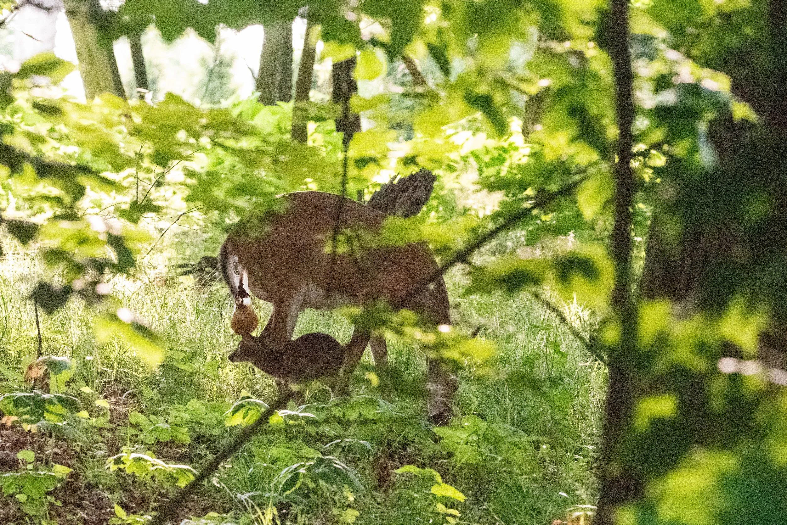 untitled shoot-017.jpg