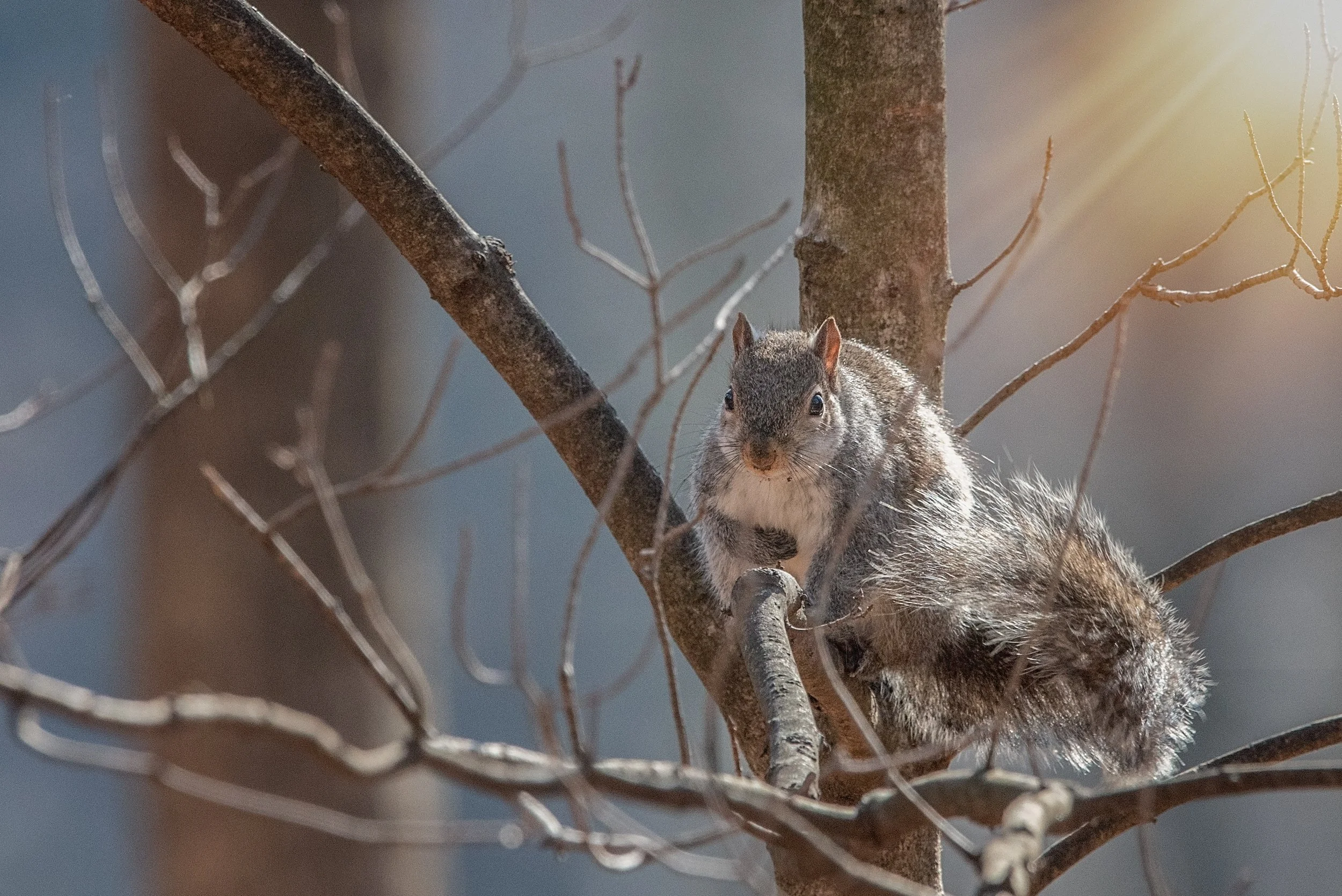 untitled shoot-186-Edit.jpg