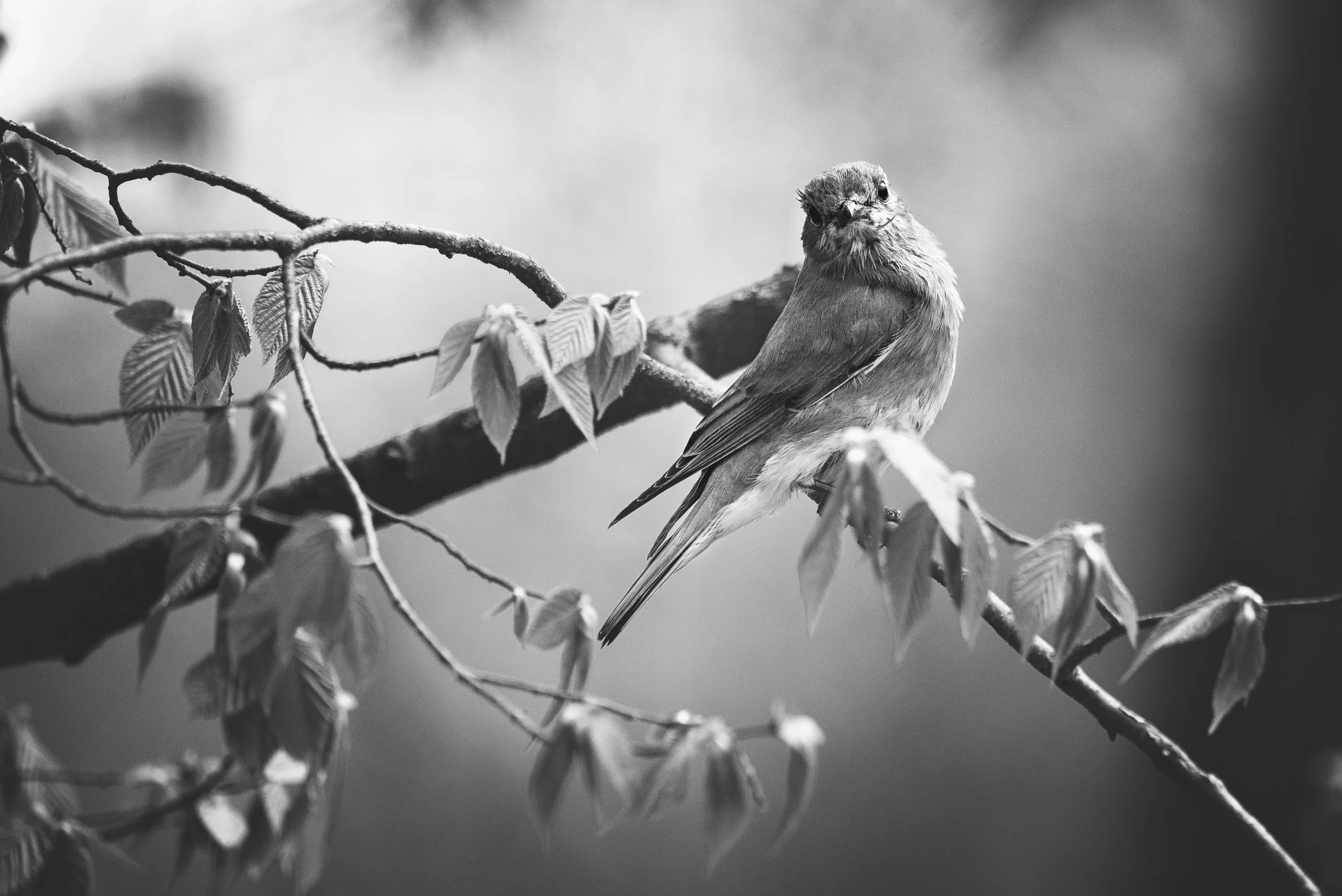 untitled shoot-122-Edit.jpg