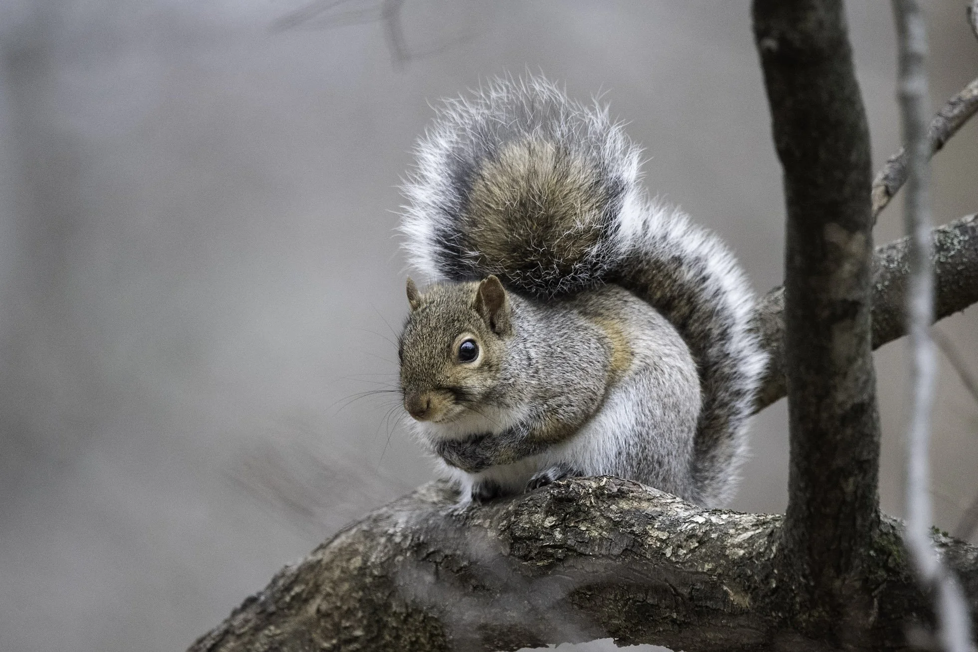 untitled shoot-013 copy.jpg