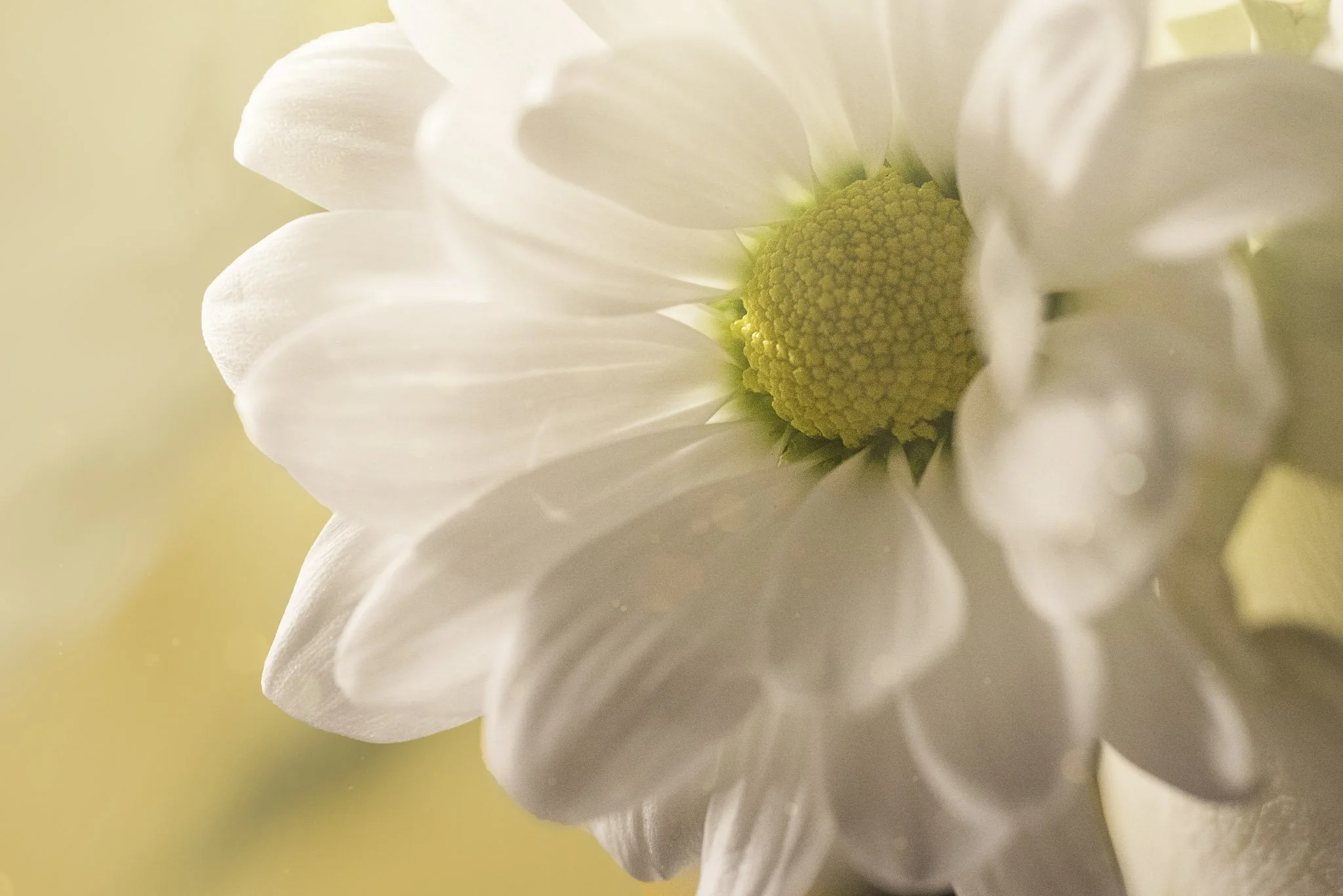 untitled shoot-001-Edit copy web.jpg