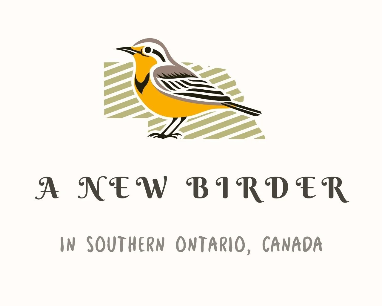 A New Birder on Southern Ontario, Canada