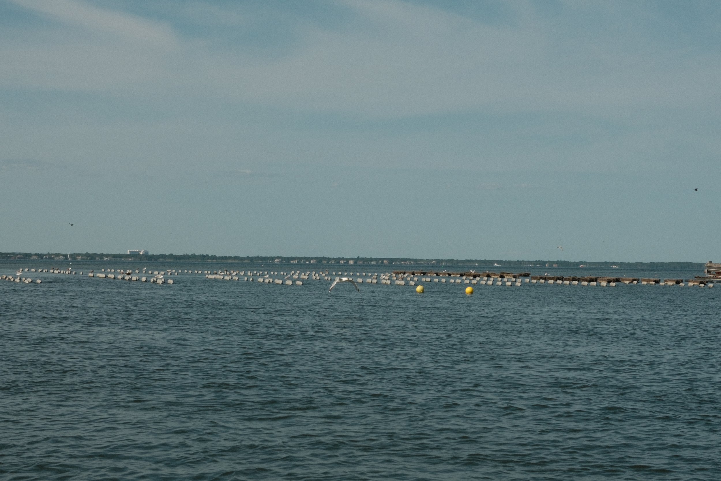 DSCF9052.JPG