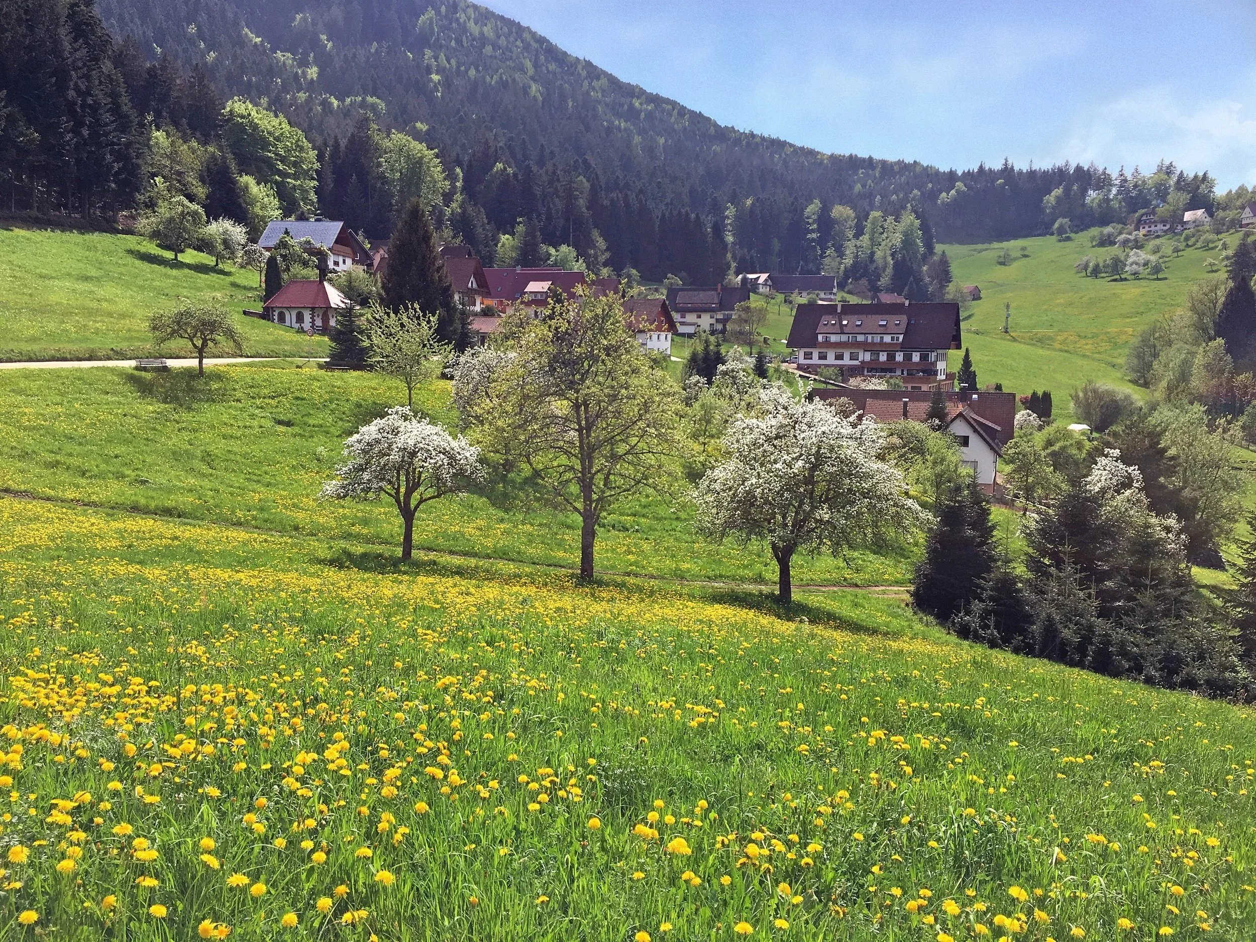 Wandern Schwarzwald 18.09. - 25.09.2027