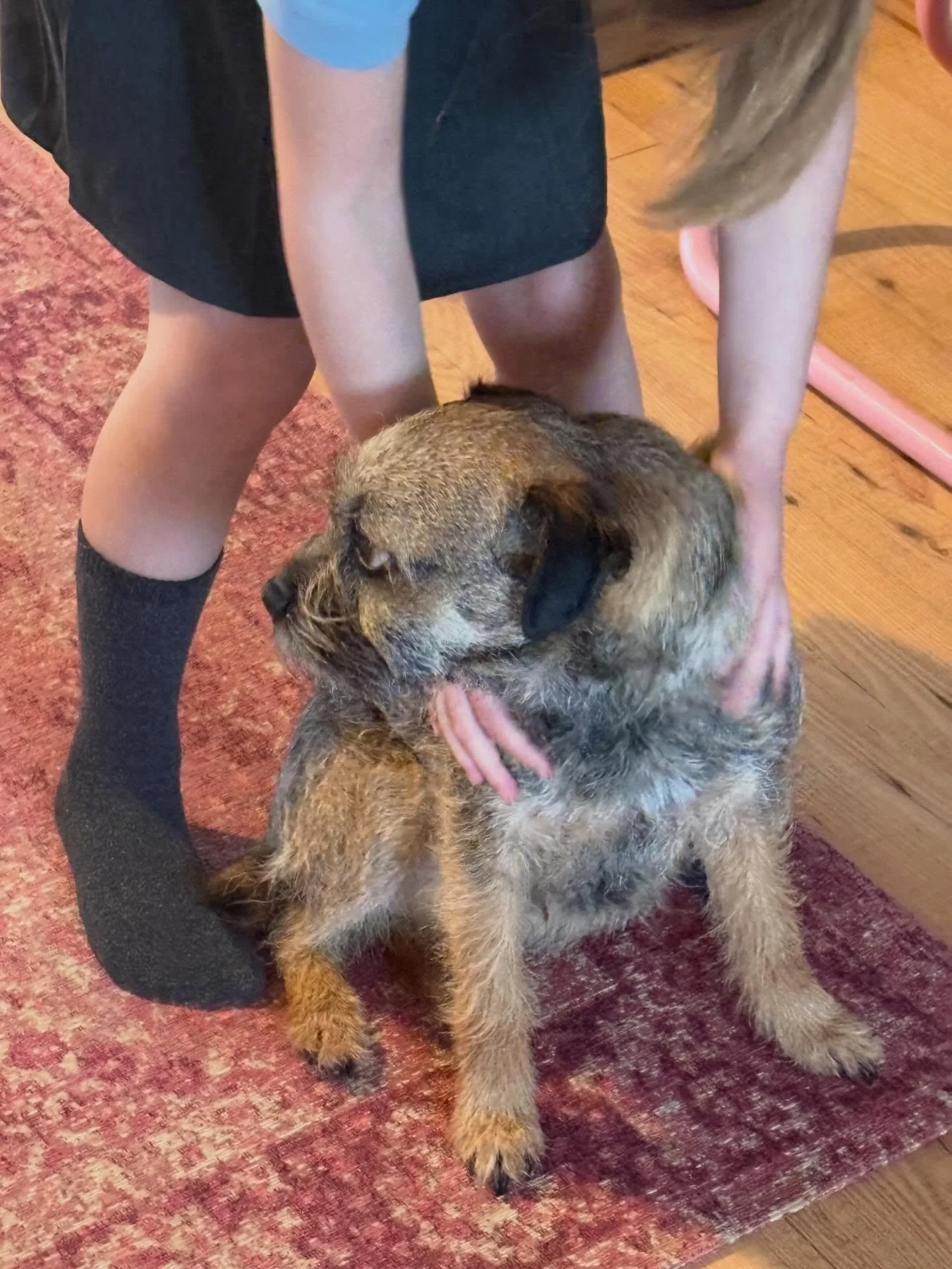 🩵
#dogwalkerbristol #spring #mallspals #fotheloveofdogs #bristol