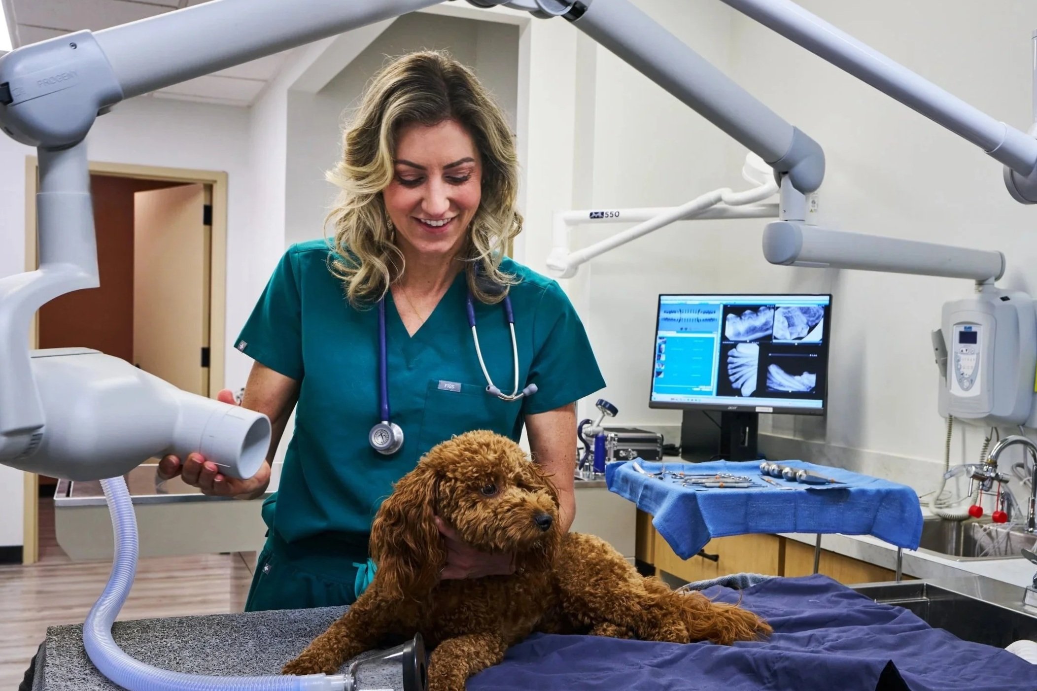 A veterinarian examines a dog on an examination table with three young girls in a veterinary clinic, one girl wearing a striped pink and white dress, another in a rainbow tutu, all smiling.