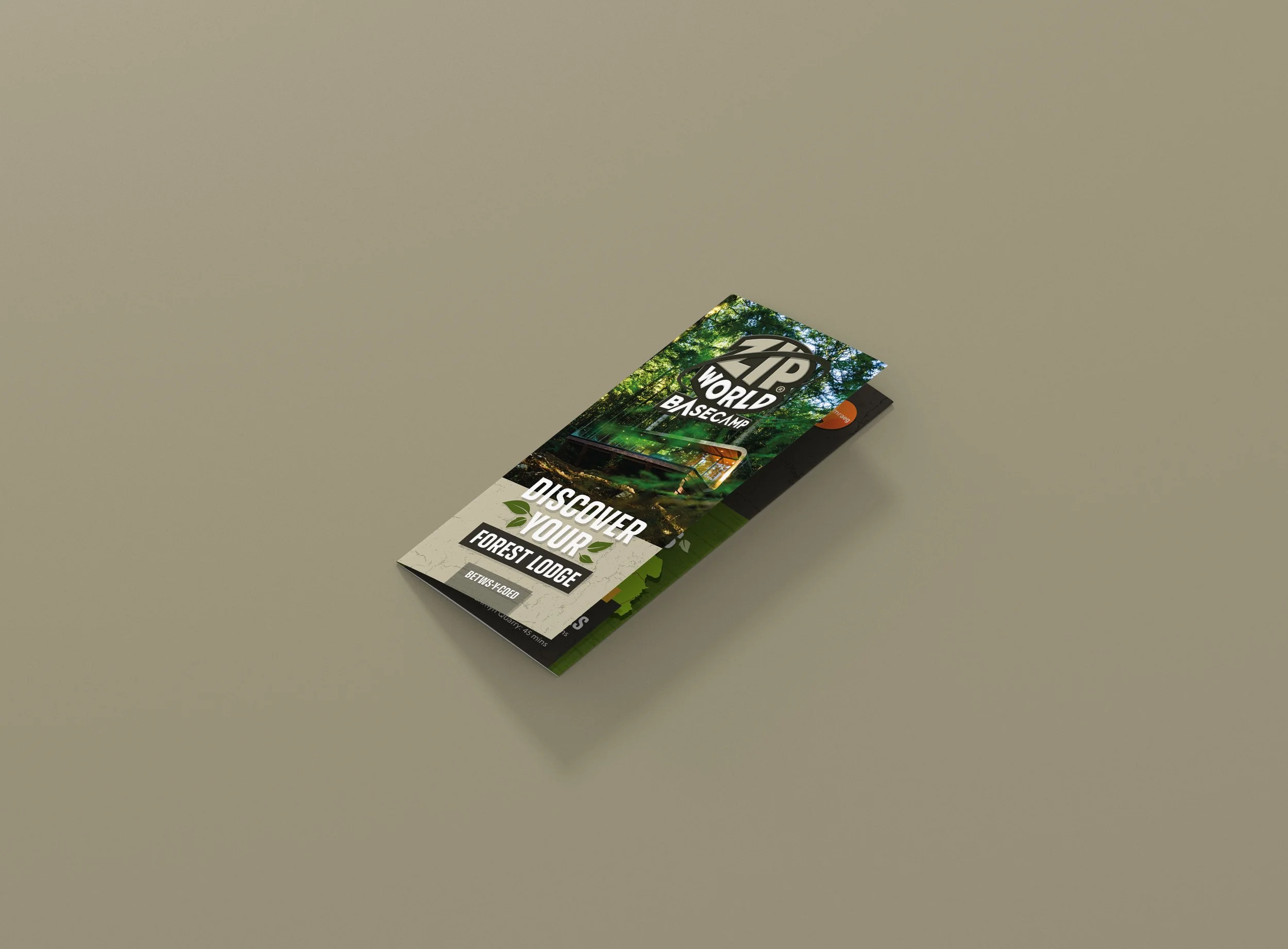 4_roll_fold_brochure_mockup_dl_side.jpg