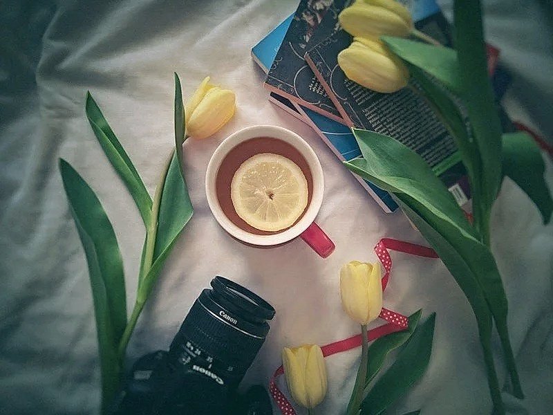 food photography gears