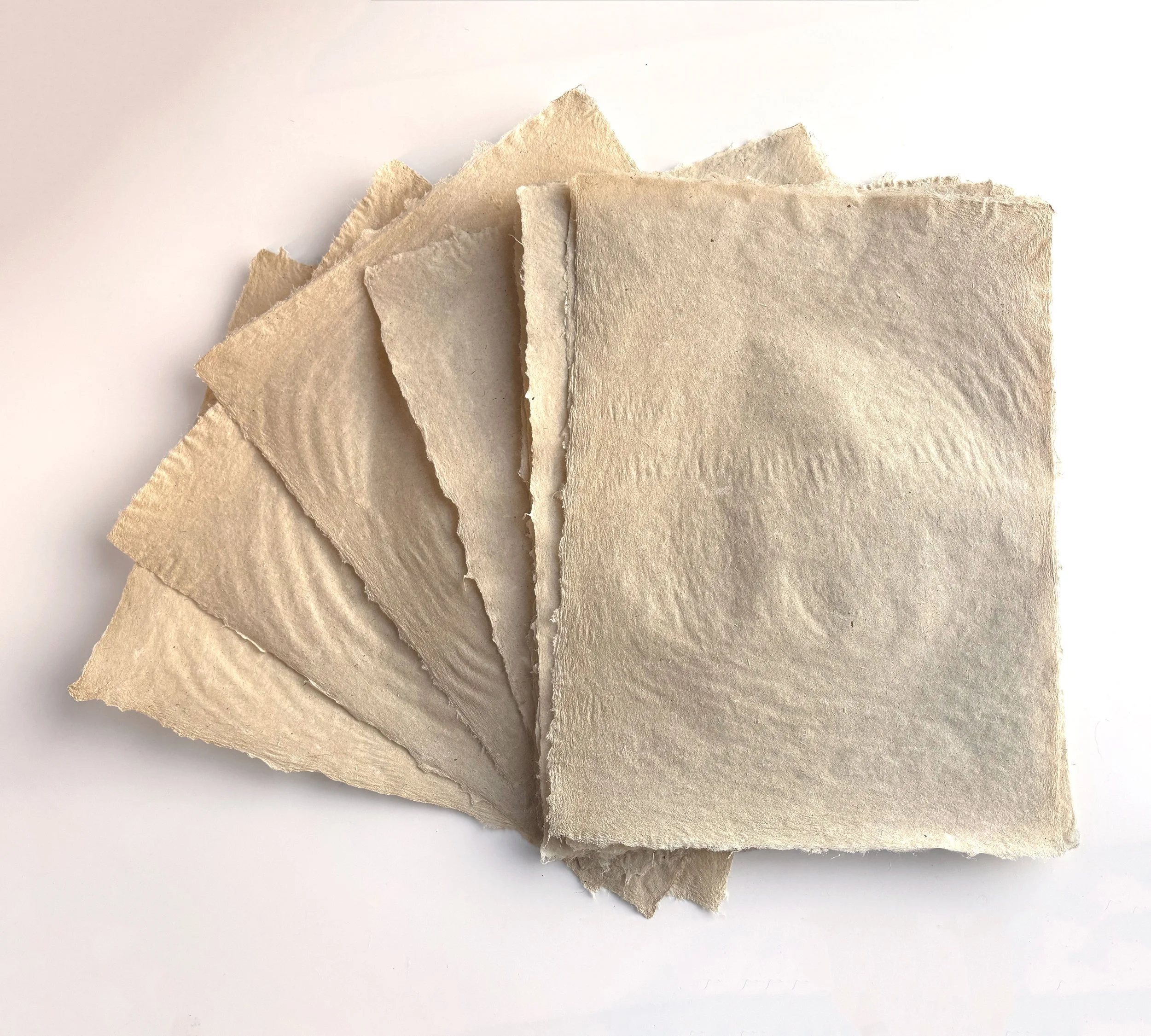 Rowan’s Thistles- 
Raw flax and thistles, internal sizing, retention aid, 
12” x 18”, 
2025