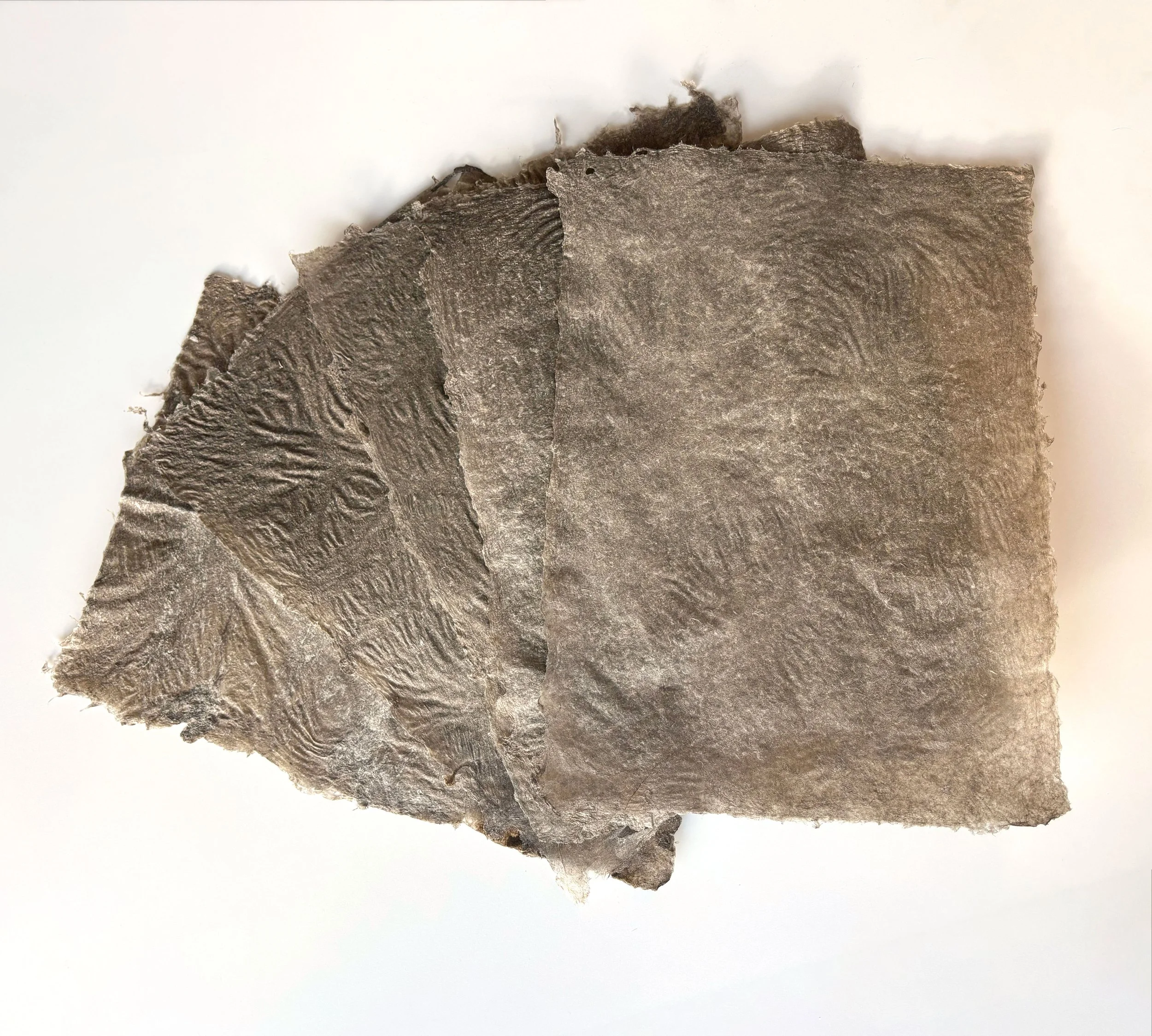 Cottonized Hemp Paper- 
Cottonized hemp, internal sizing, retention aid, 
12" x 16", 
2025