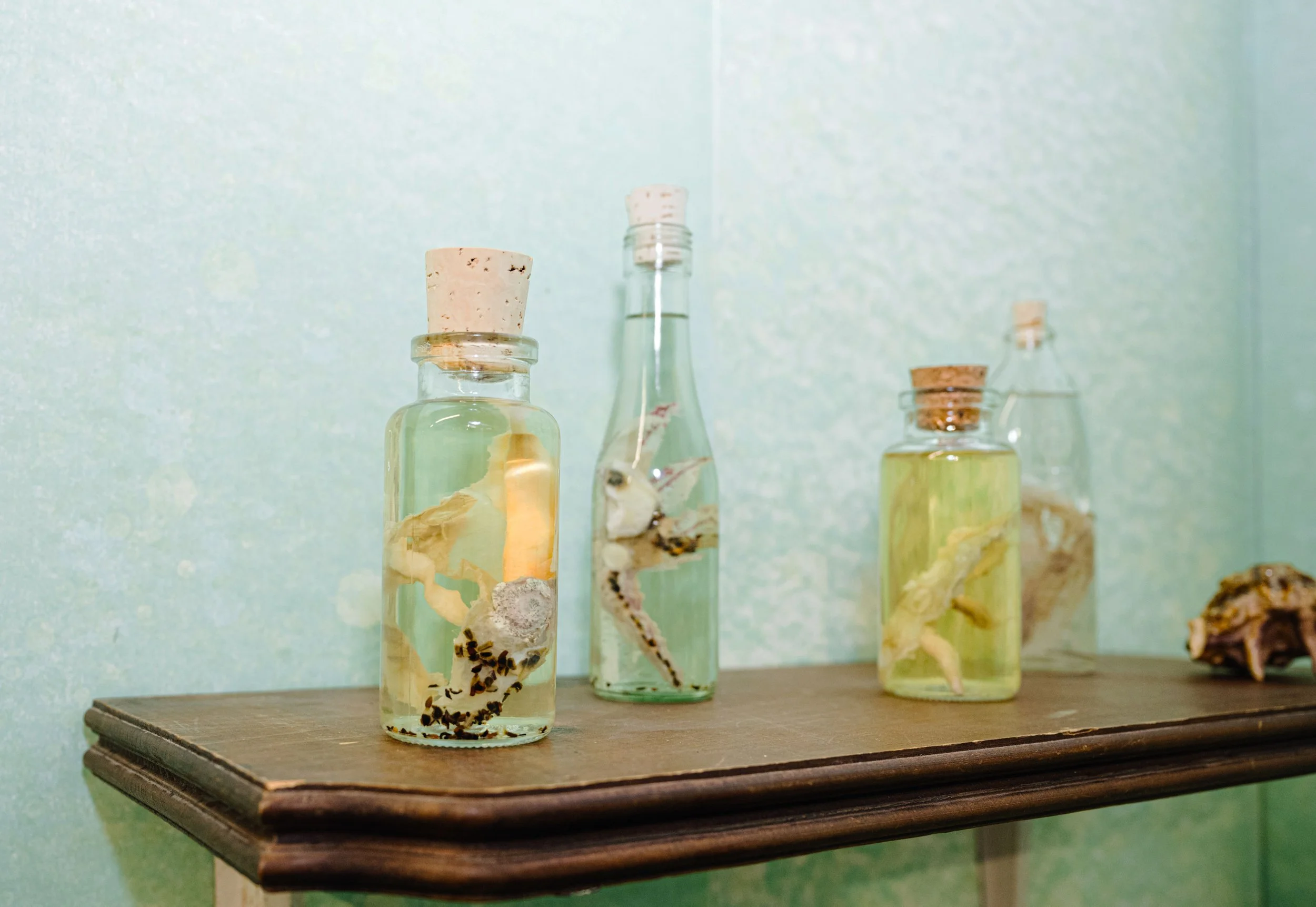 Specimen Jars from Memory Box, 2024
Handmade hemp paper, beeswax, found and foraged materials