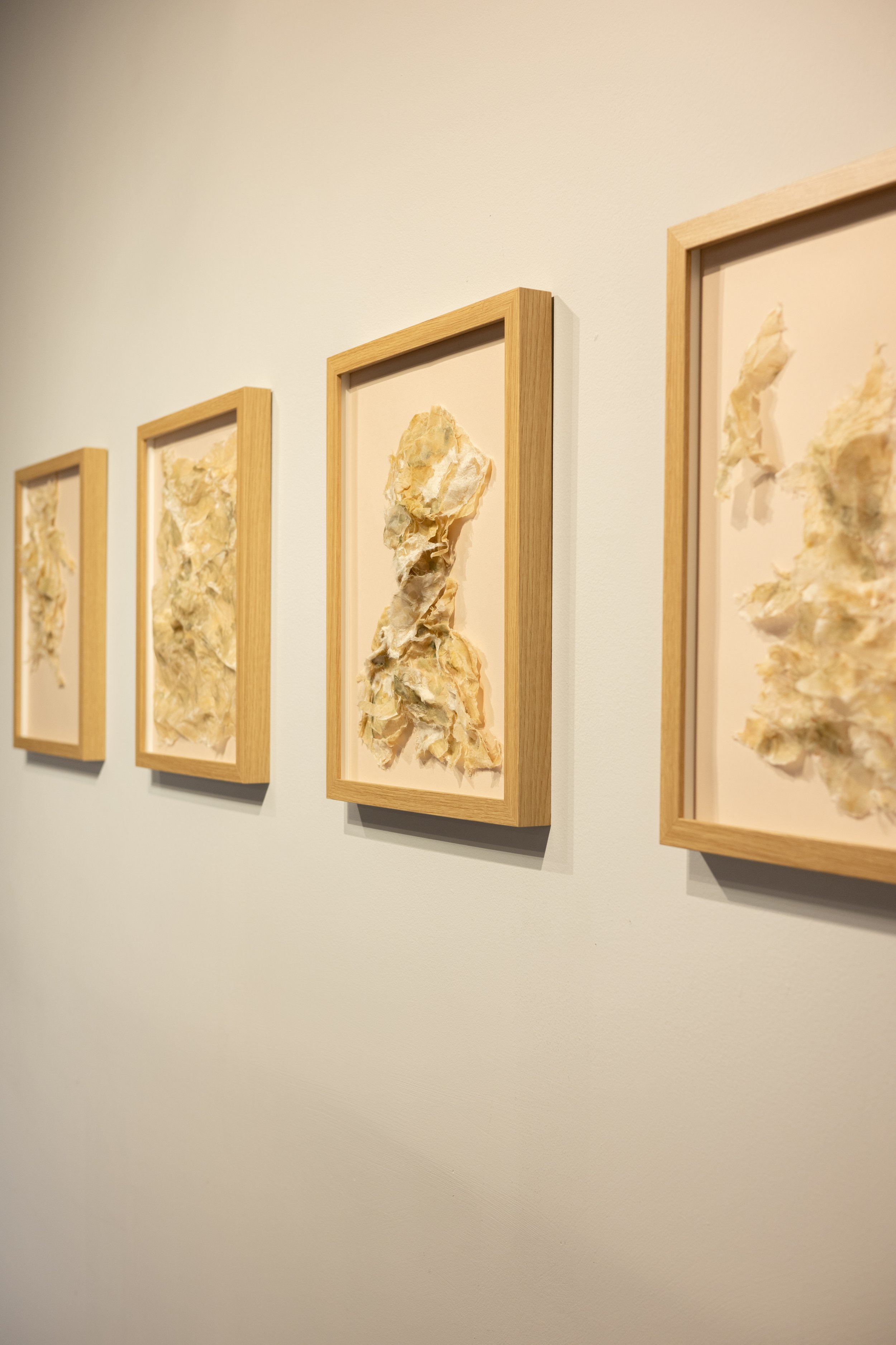 Trenches (Excavated) from "Yard Work" at Var Gallery, 2024,
Handmade hemp paper, beeswax