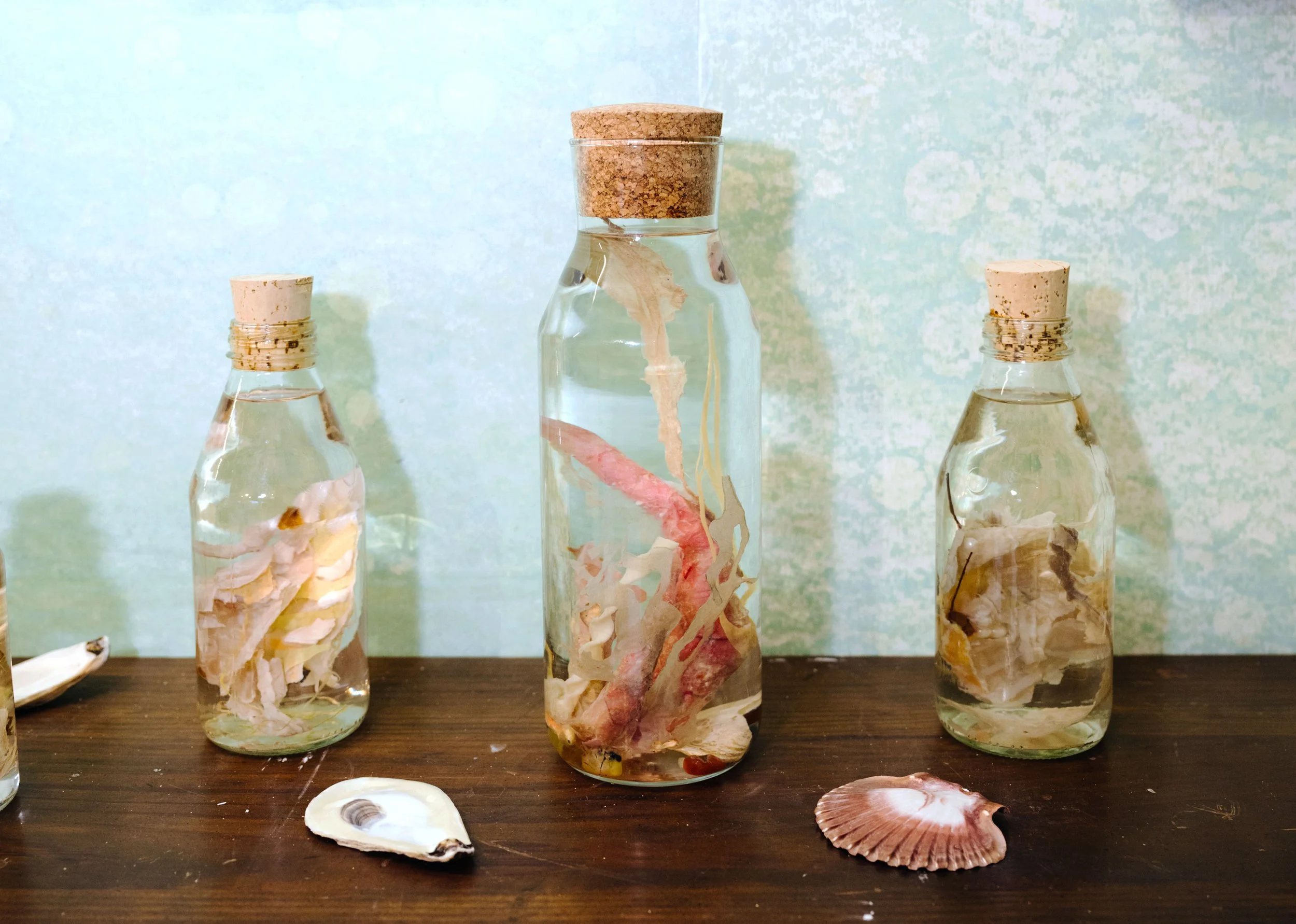 Specimen Jars from Memory Box, 2024
Handmade hemp paper, beeswax, found and foraged materials
