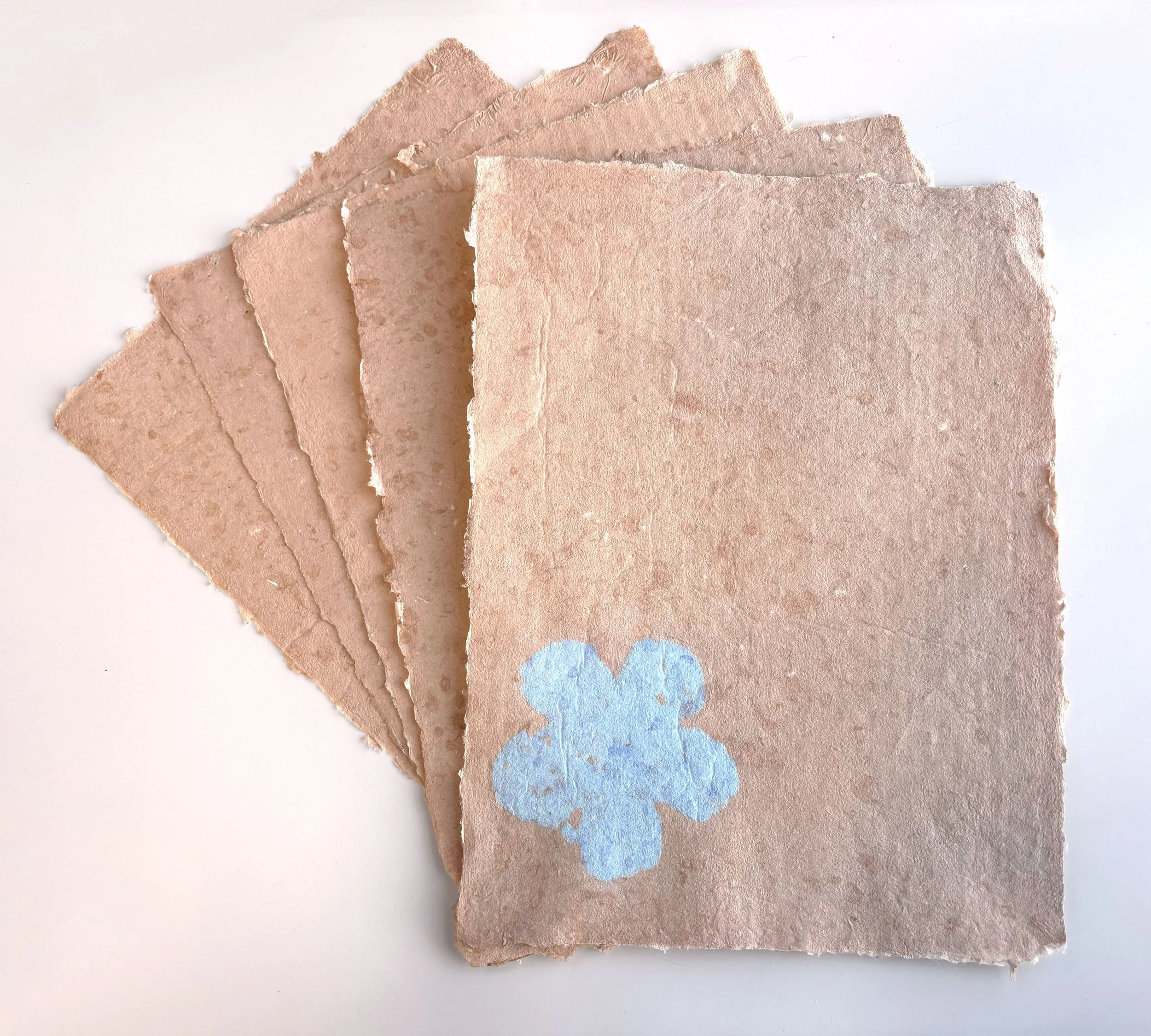 Spring Sheets (Pink Petal)- 
Bleached flax, cotton blotters and liners, Twinrocker aqueous pigments, methyl cellulose, retention aid, 
12” x 16”, 
2025- The flower pattern was created using a custom 3D printed mold and deckle.