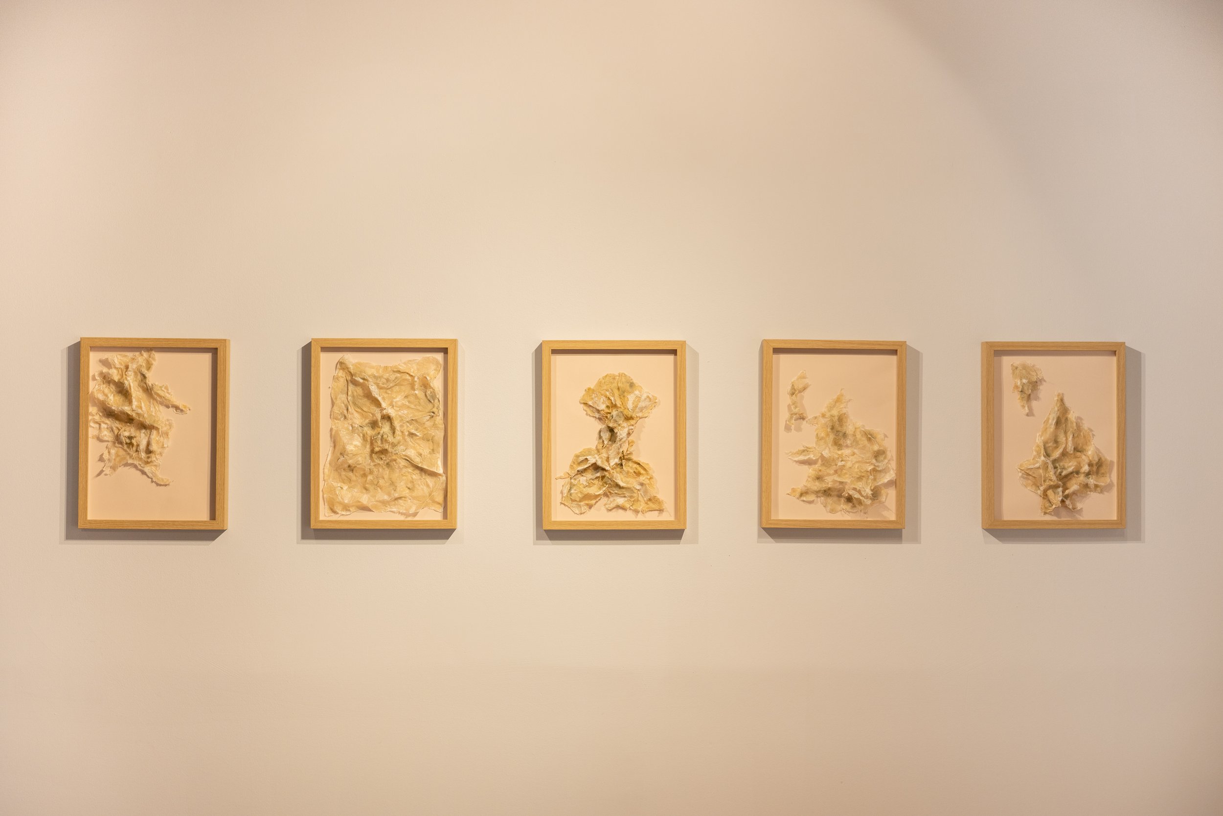 Trenches (Excavated) from "Yard Work" at Var Gallery, 2024,
Handmade hemp paper, beeswax