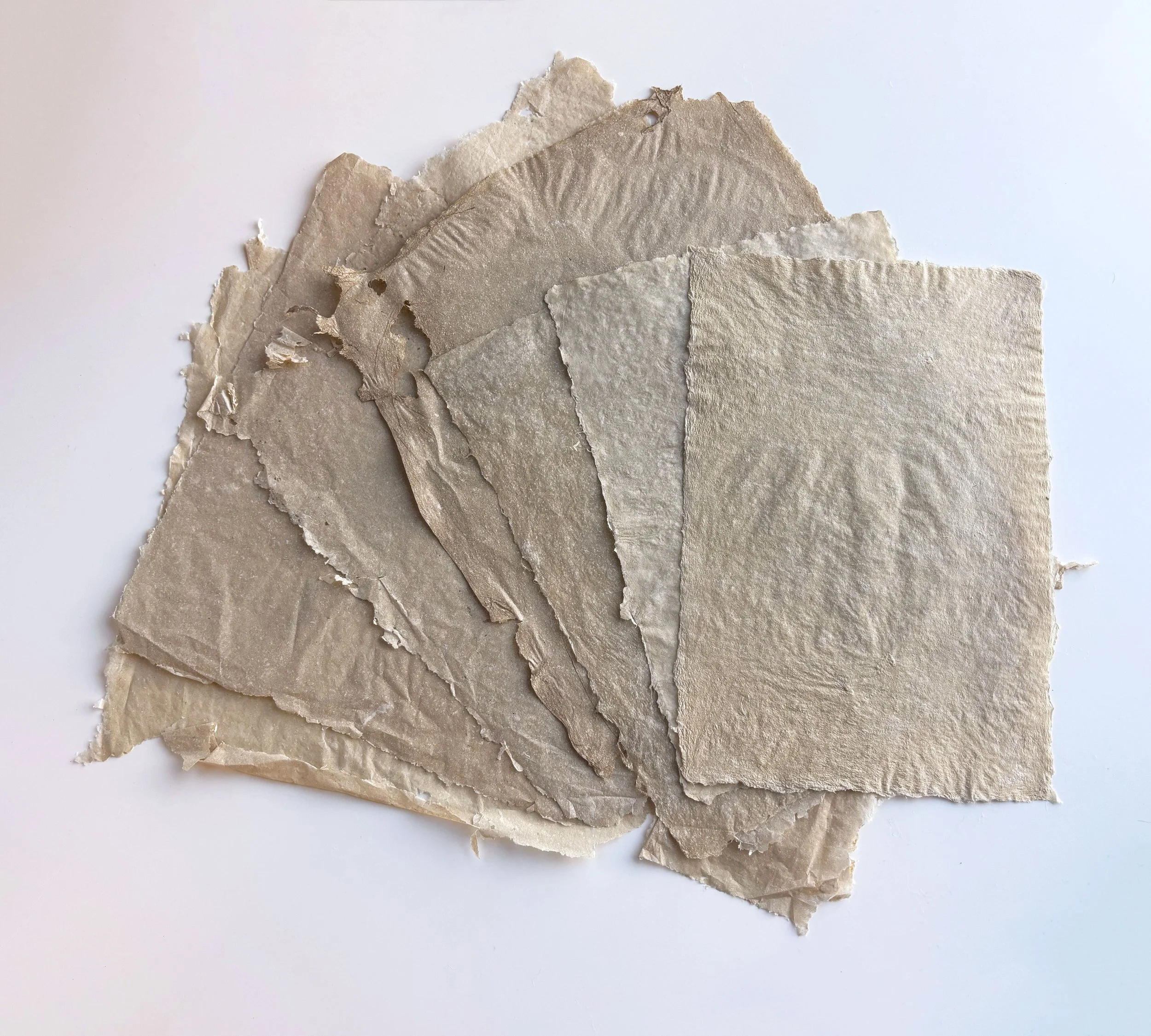 Assorted Hemp Papers- 
Raw hemp, methylcellulose,  
Various sizes, 
2022-2024