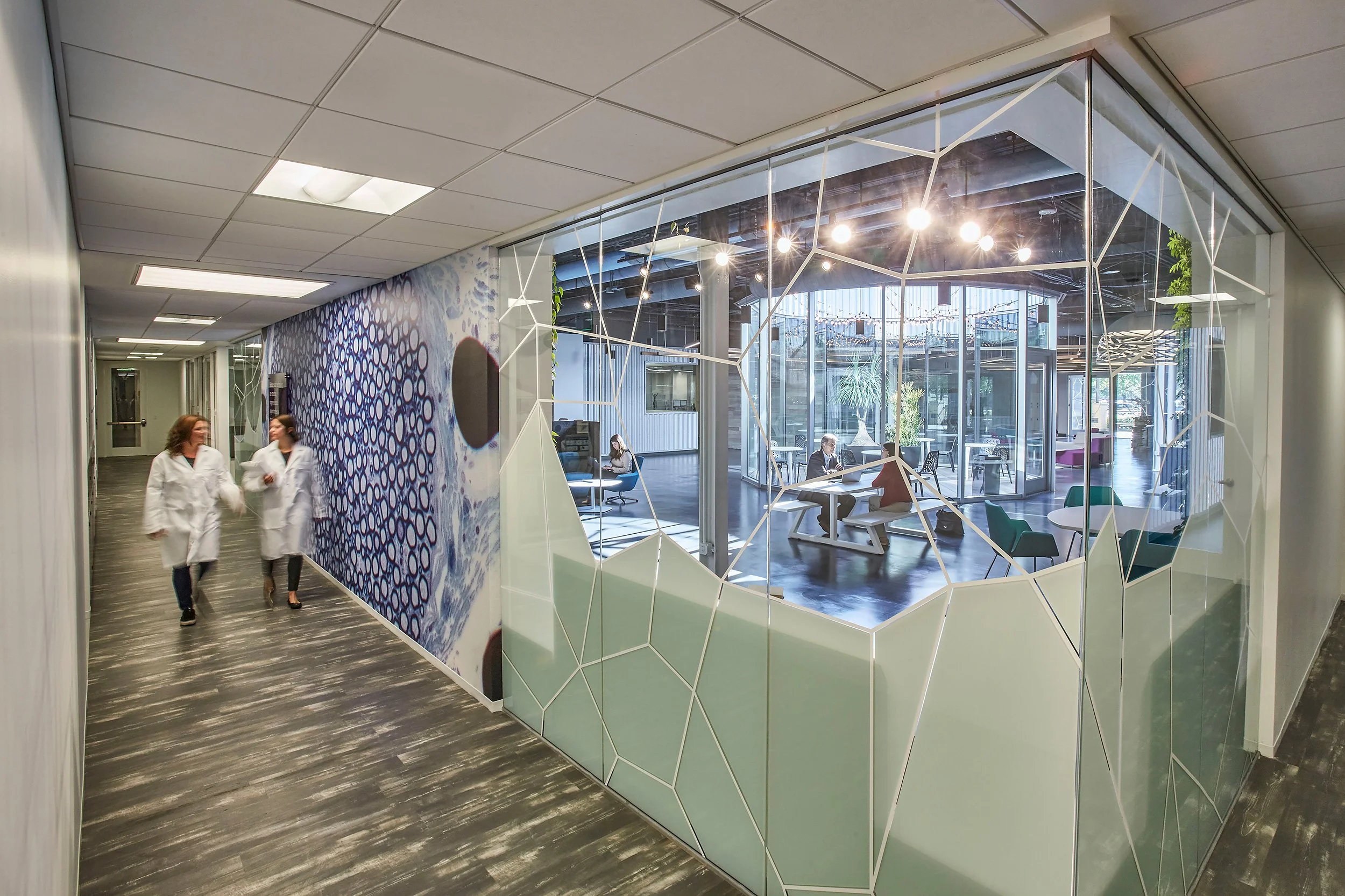 Hospital corridor with two people in white lab coats walking and talking, another person sitting inside a modern lounge area with large glass windows, contemporary furniture, and hanging lights.