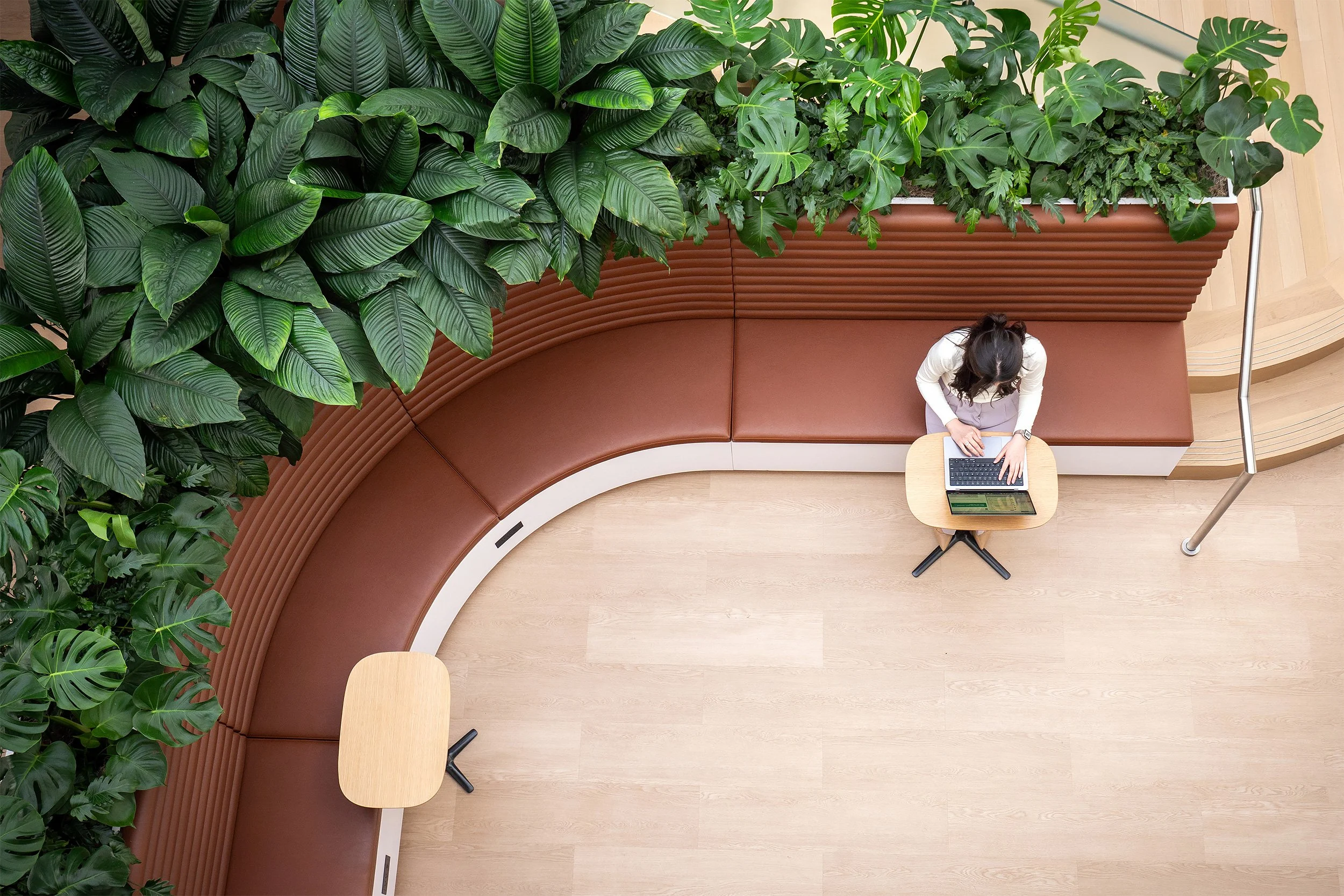 Top-down view of a person sitting at a small table with a laptop in a space filled with large green leafy indoor plants and a curved brown cushioned seating area.