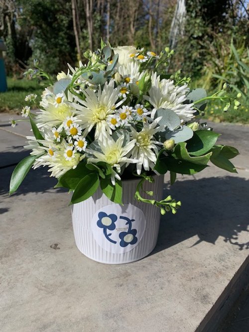 Flower Pot