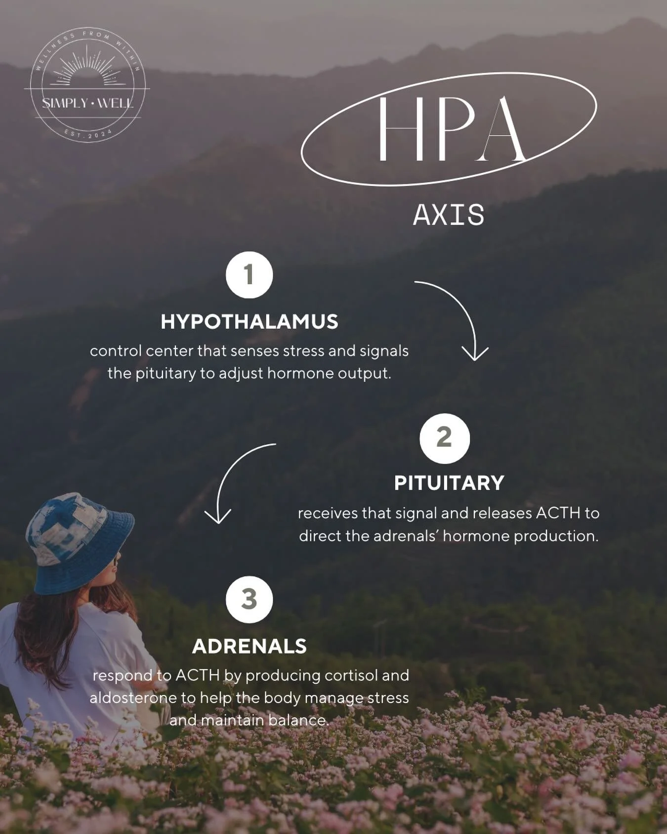 Your body doesn&rsquo;t respond to stressors&hellip; it responds to perceived stress.

And your HPA axis (hypothalamus &rarr; pituitary &rarr; adrenals) is the control tower that decides what to do with those signals.

When the brain registers stress