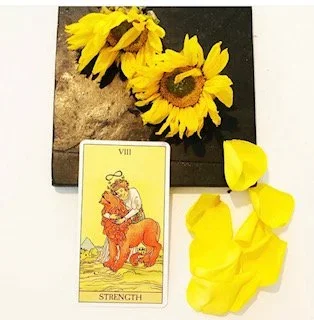 Leo &amp; the Strength card