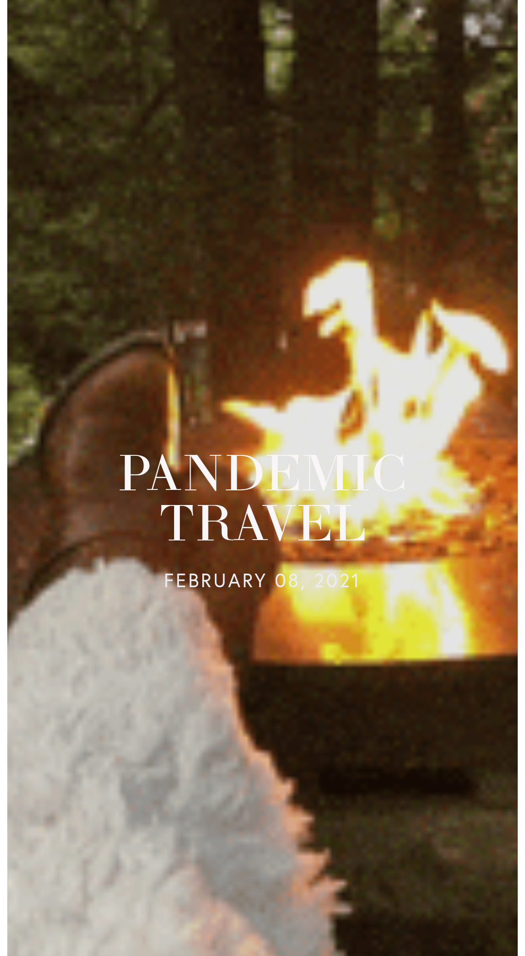 Pandemic life 