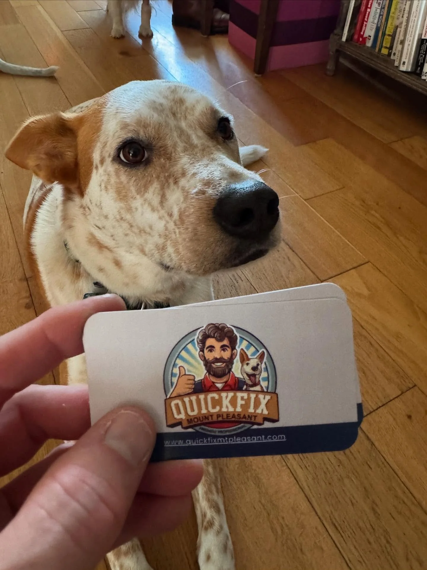 Woody approves of the new business cards! 
#handyman #charlestonsc #mountpleasantsc