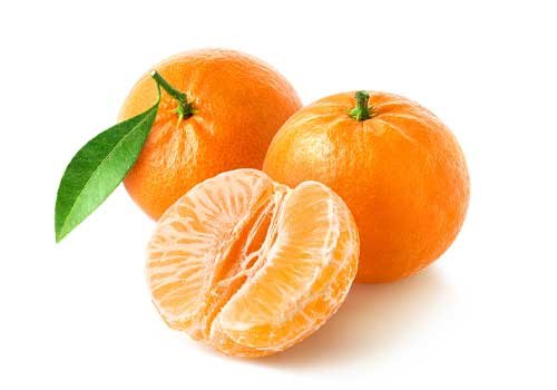 Sorbet Mandarine