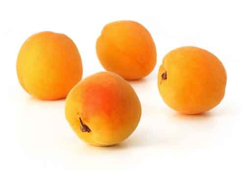 Aprikose