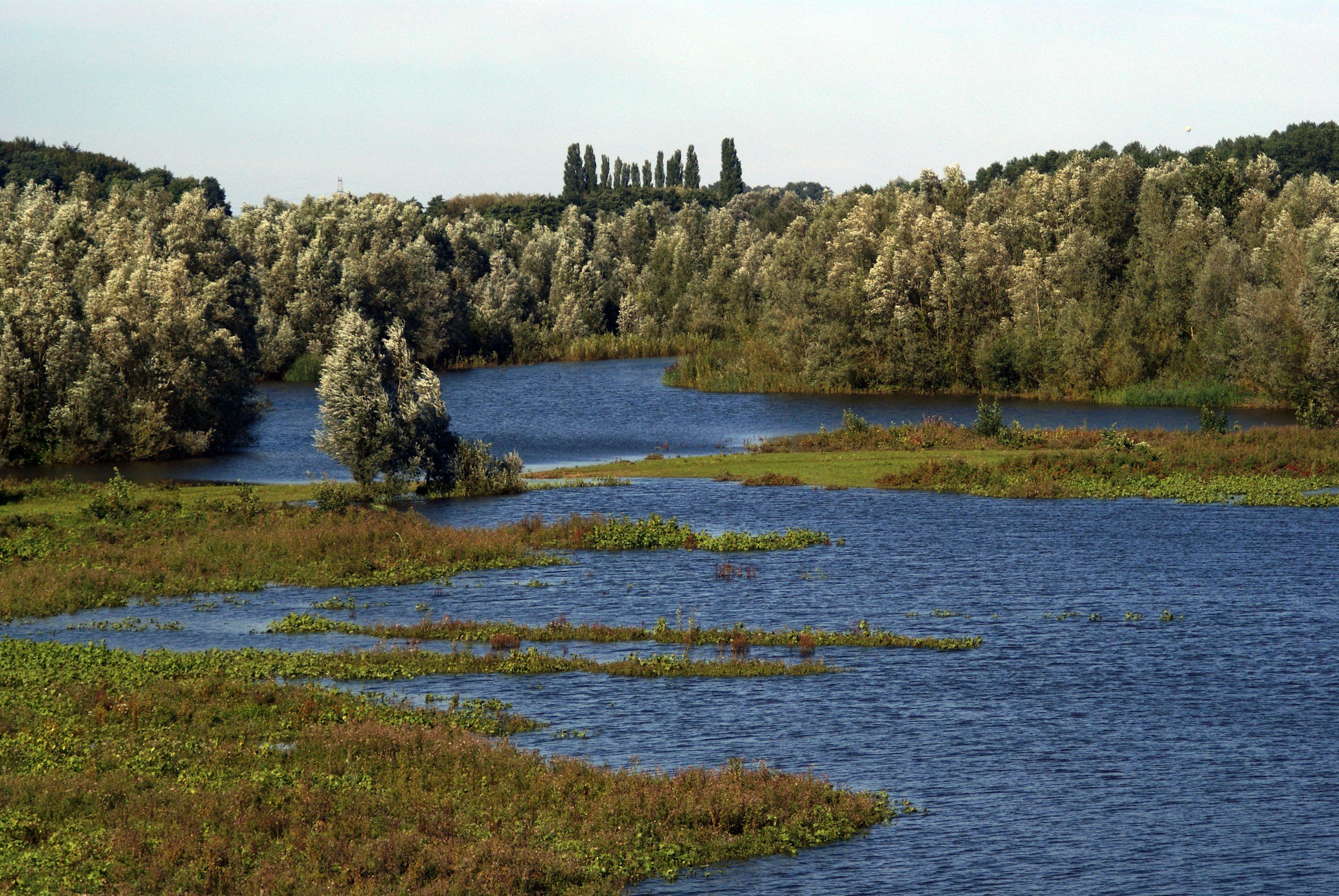 Building in flood zones increases the importance of water testing