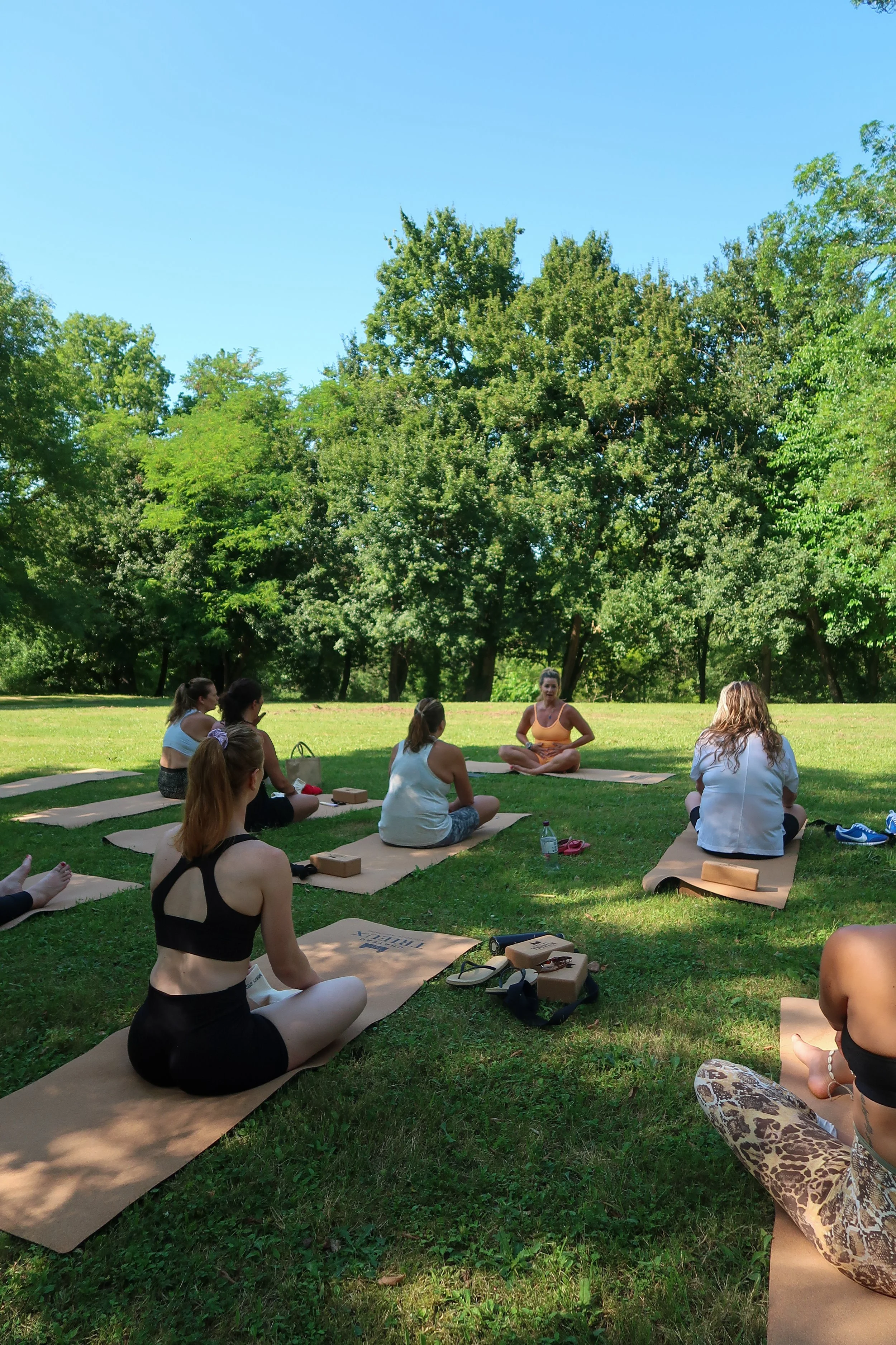 Group of women participating in an outdoor yoga session on a grassy field surrounded by trees, with a clear blue sky above.