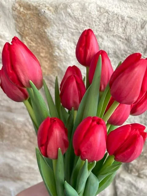 red tulip 12 stem.jpg