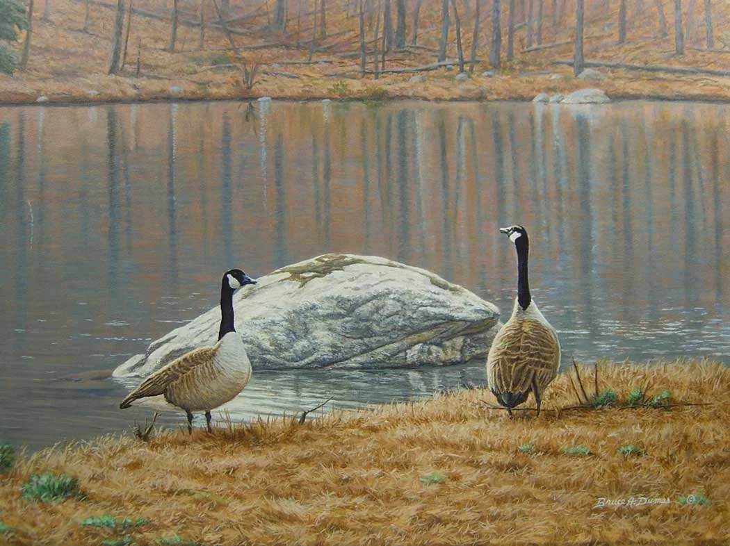 "South Carolina Geese" 18" x 24" - Sold