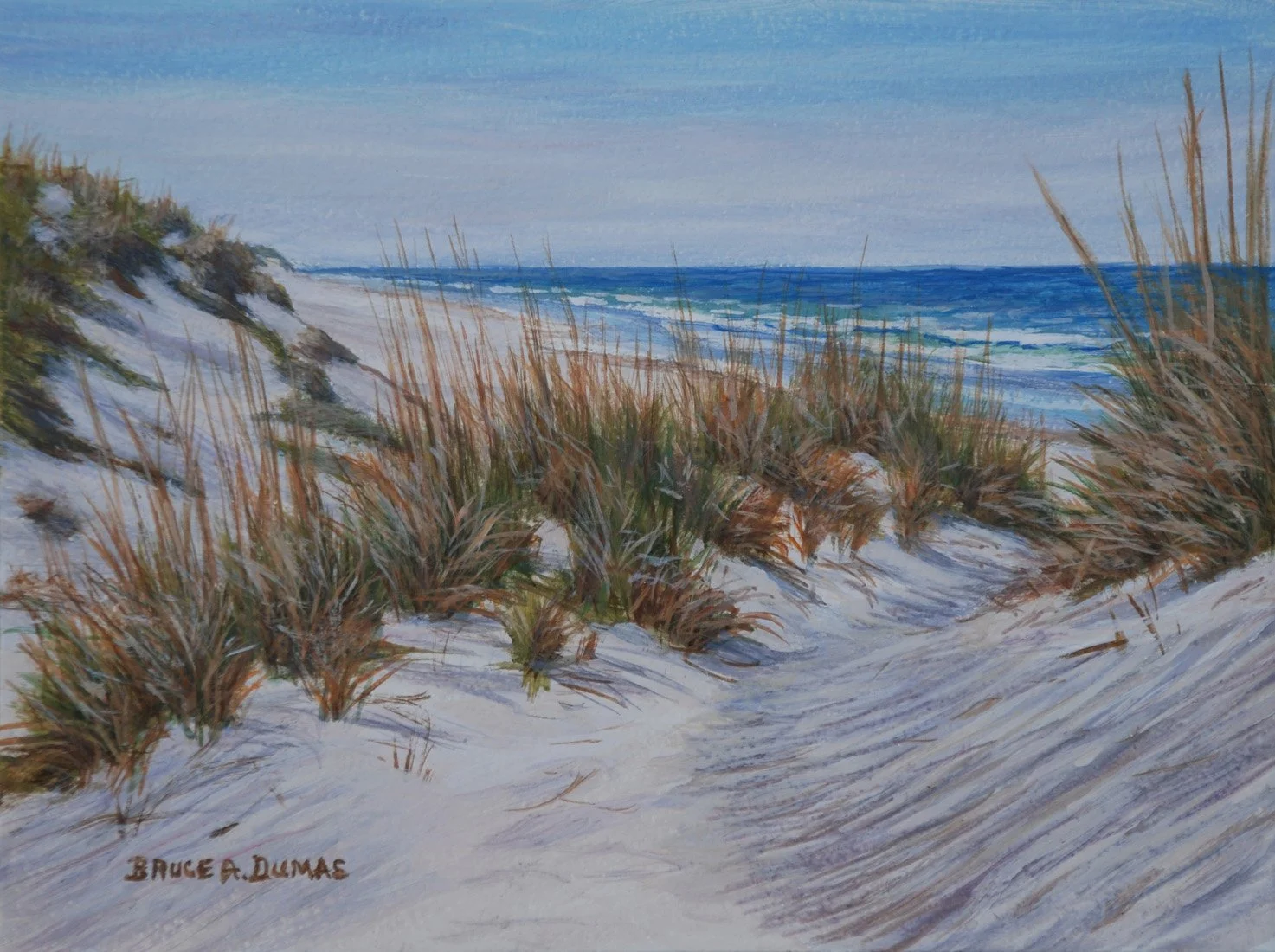"Vantage Point Dunes" 6" x 8" - Sold