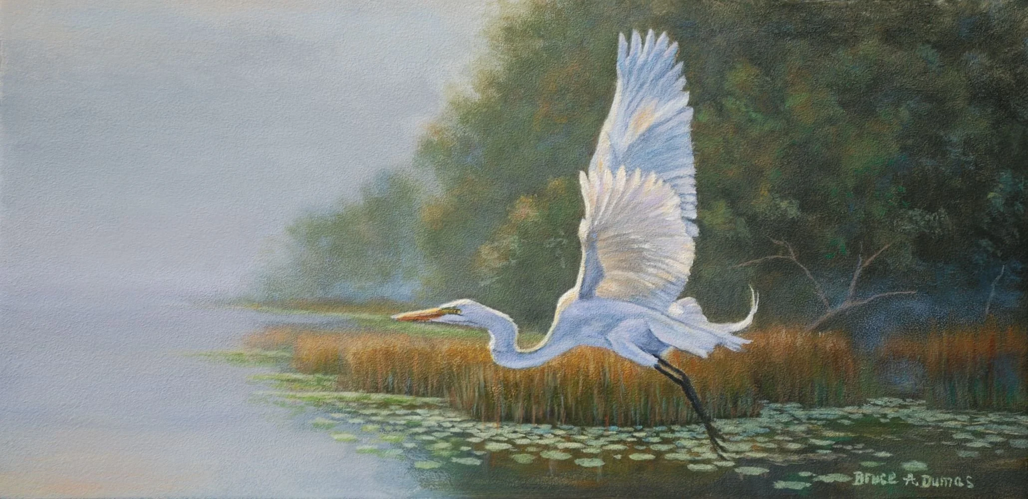 "Leaving The Cove"
