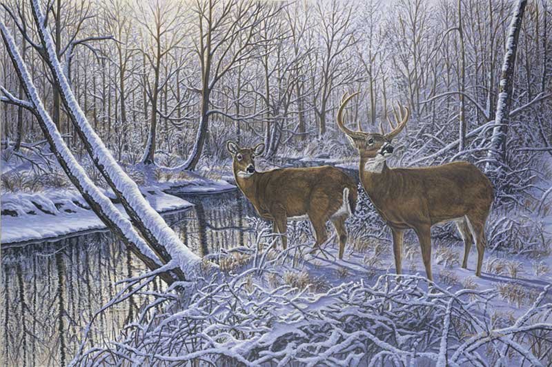 "On Alert" 24" x 36" - Sold