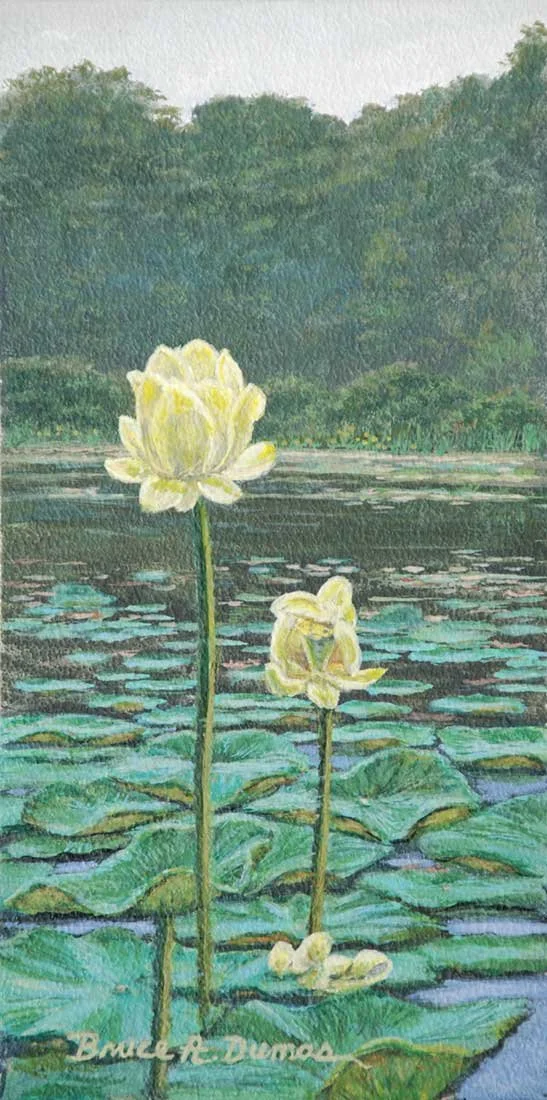 "Lily" 5" x 10" - Sold
