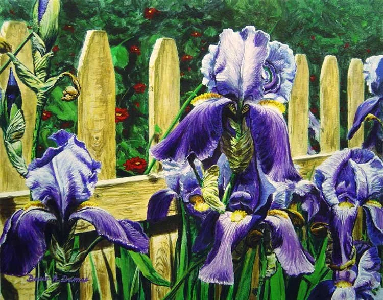 "Iris' By The Fence" 11" x 14" - Sold