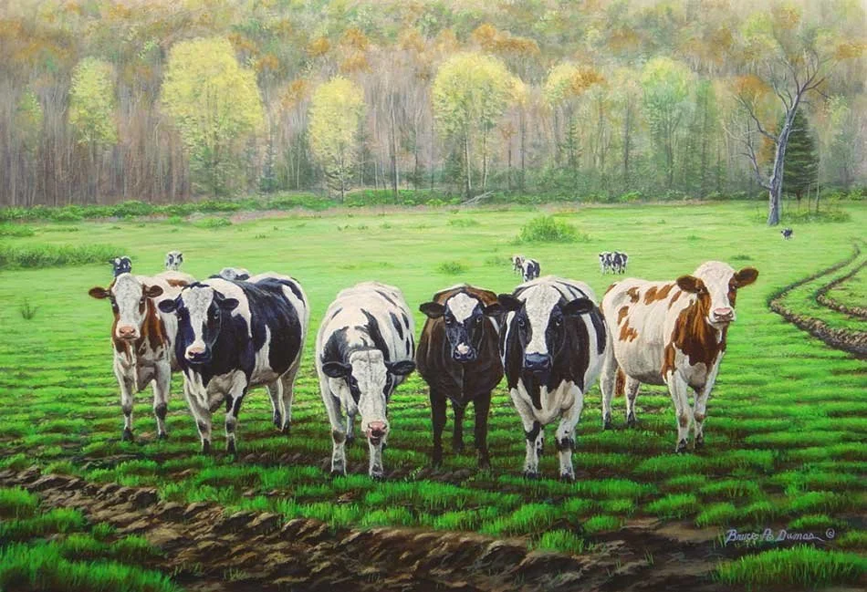 "Curious Cows" 13" x 19" - Sold