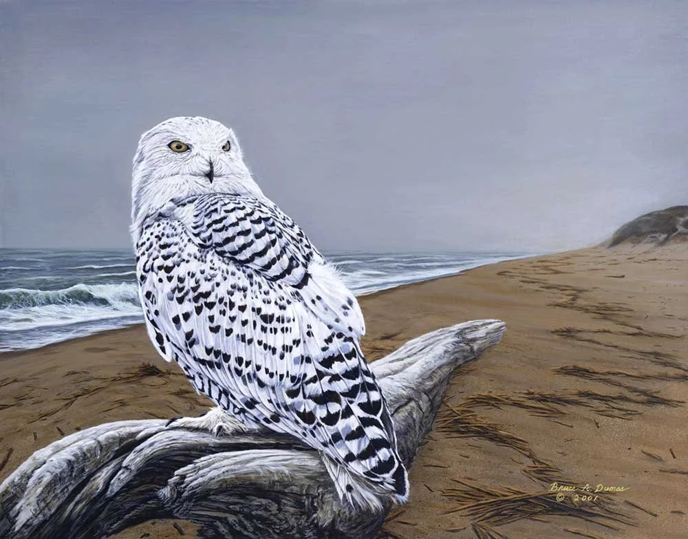 "After The Storm" 22" x 28" - Sold