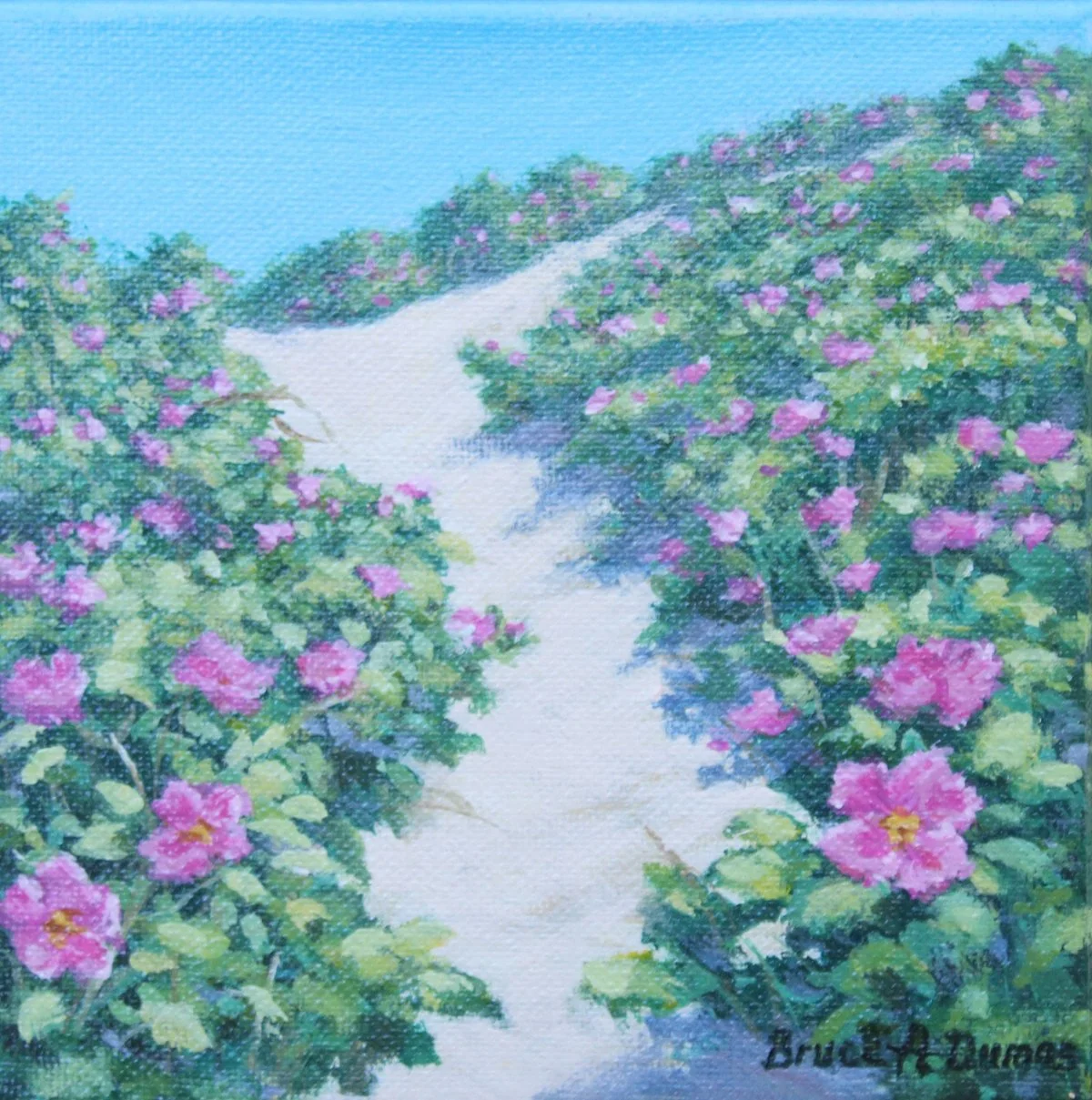 "Rosey Dune Path" 6" x 6" - Sold