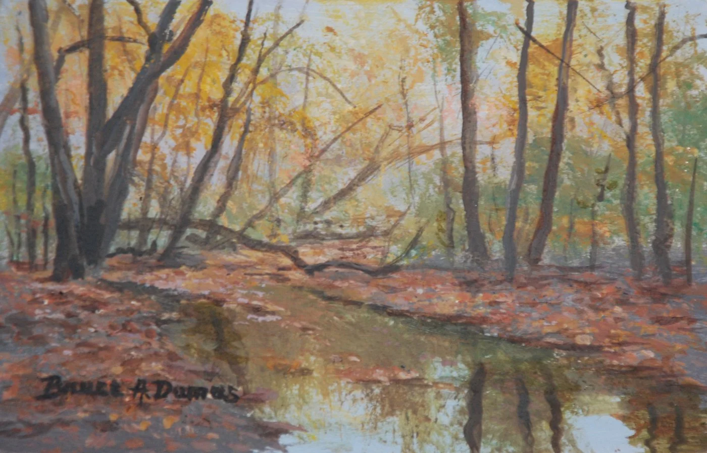 "Sodom Brook Memories" 4" x 6" - Sold