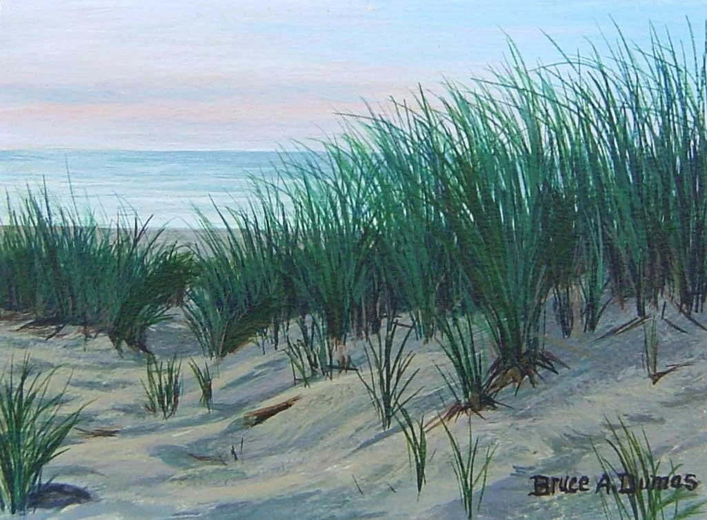 "Race Point Dune" 6" x 8" - Sold