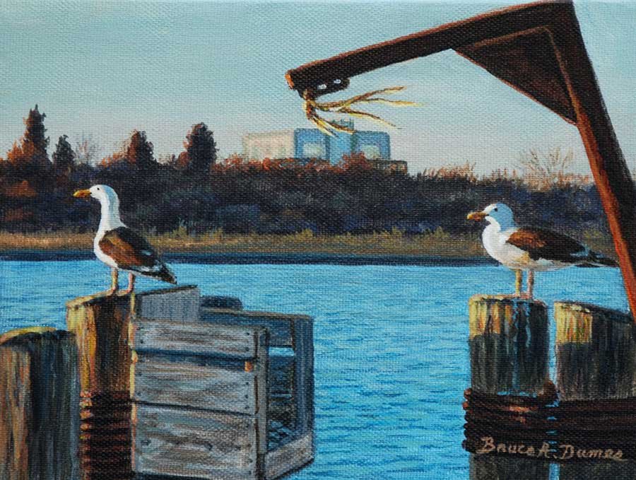 "Black Backed Gulls" 6" x 8" - Sold