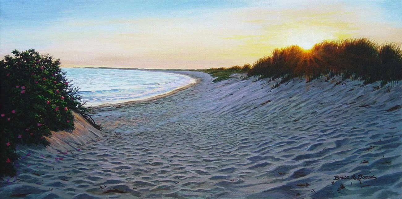 "Dune Burst" 12" x 24" - Sold