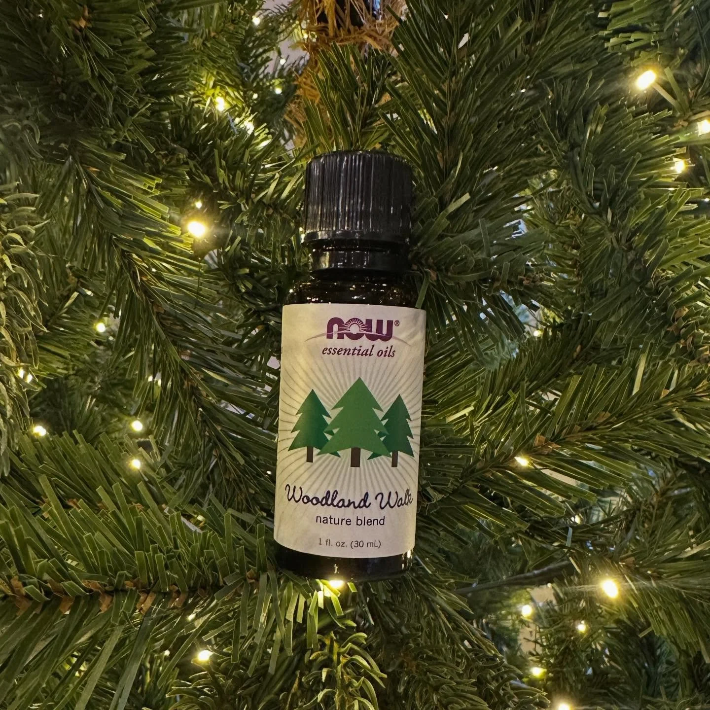 Add this amazing essential oil into your massage this month: Woodland Walk 🌲

Aroma: fresh + woodsy

Attributes: Centering

Ingredients: pine, cedarwood atlas, juniper berry, frankincense &amp; myrrh.

It&rsquo;s a perfect addition to your winter ma