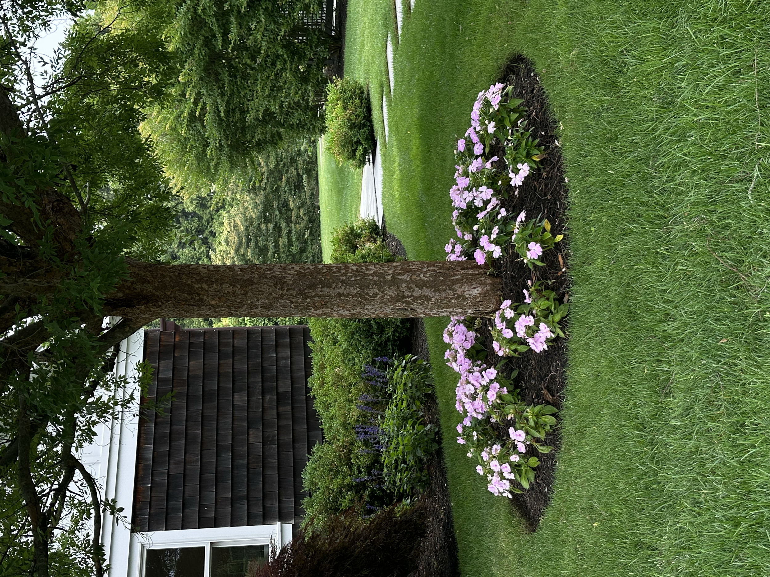 IMG_5561.png